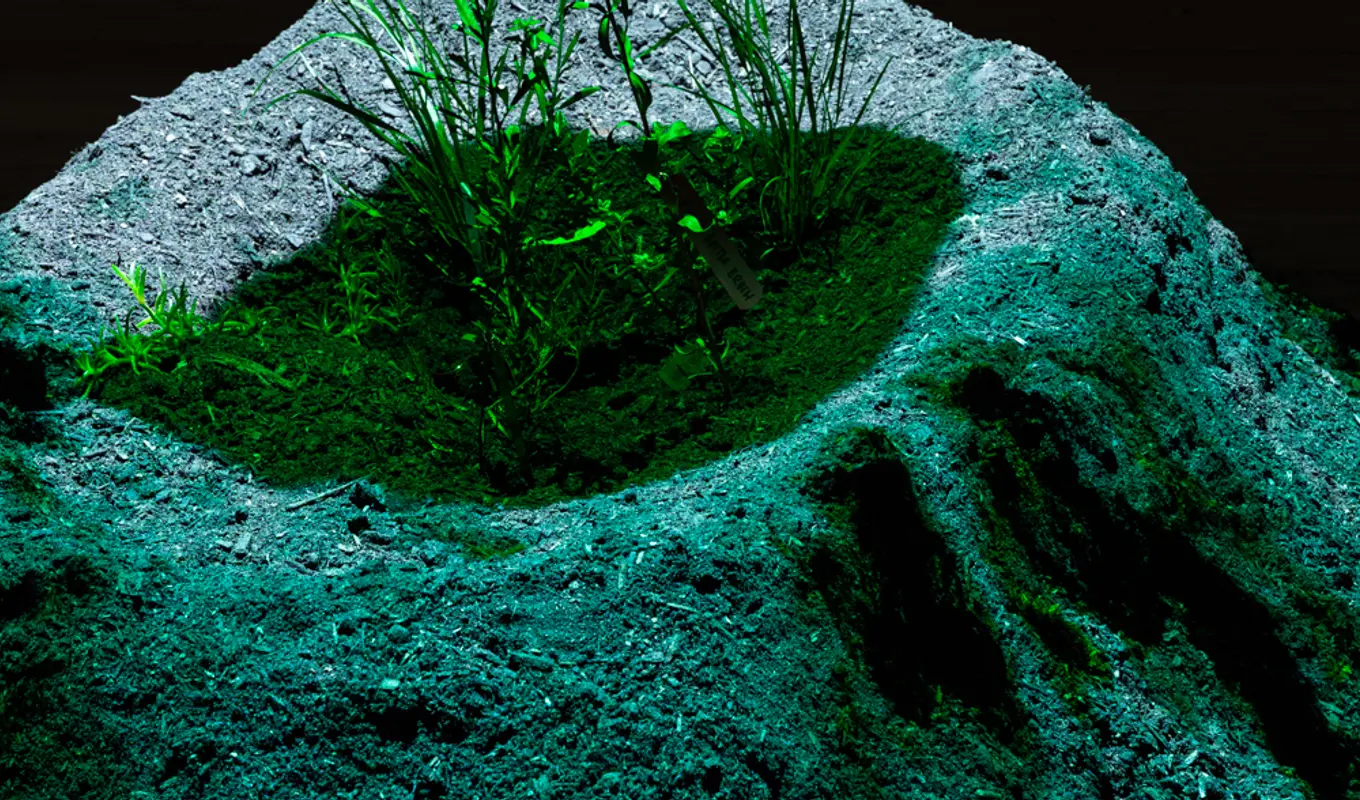 A mound of dirt in deep green lighting.Like a volcano, in the centre there is a pool of green moss or grass, with minimal sprouts of plant. The backdrop and outline of the mound fade to black.