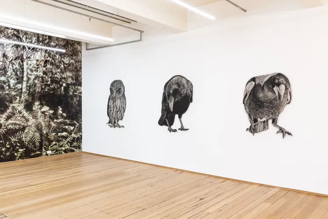 3 large prints of different bird, each a different specie, are stuck on a white wall spaced out and all consuming of the space. The other wall, from corner to corner is a large tropical black and white print of flora.