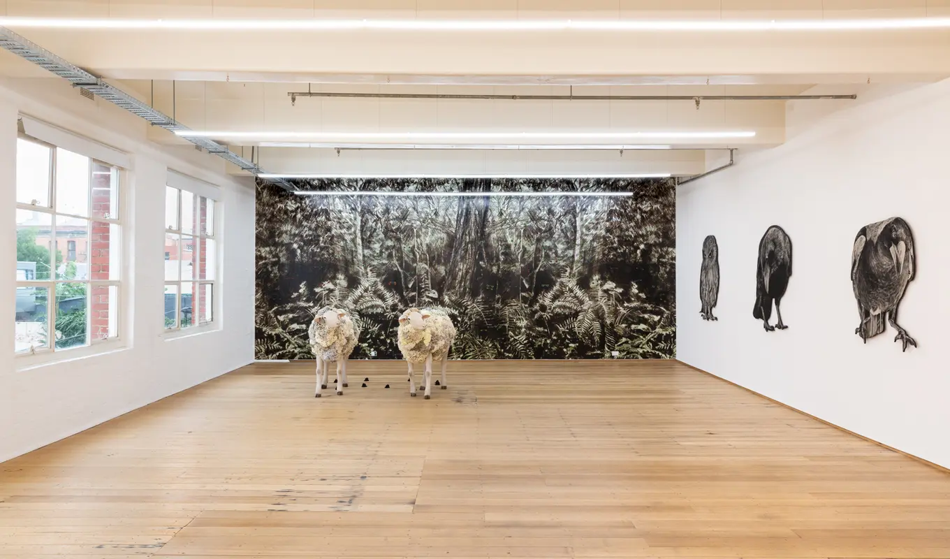 Two sheep sculptures in gallery displayed in front of a black and white backdrop of trees and foliage. Three large black and white cut out photographs of birds displayed on gallery wall.