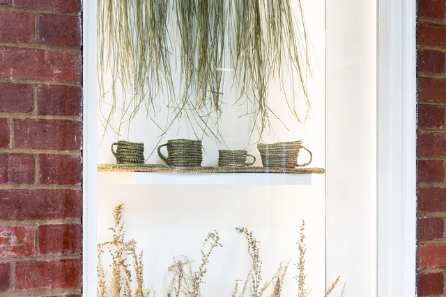 Some densely woven mugs in colours of green, tinted yellow and brown, natural fibres on a rounded, weaved platform. There are 4 mugs. Hung above the elevated mugs is fragments, is the fibre in it's natural state - draping. The natural fibres are exhibited in 9 bunches.