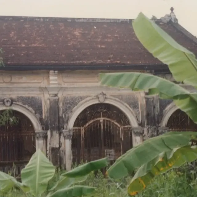 Some large leafy palms in foregrounding an old heritage manner. potentially the front of the house, it has 3 rounded gate ways and is one story. The colour of the building is murky and worn.