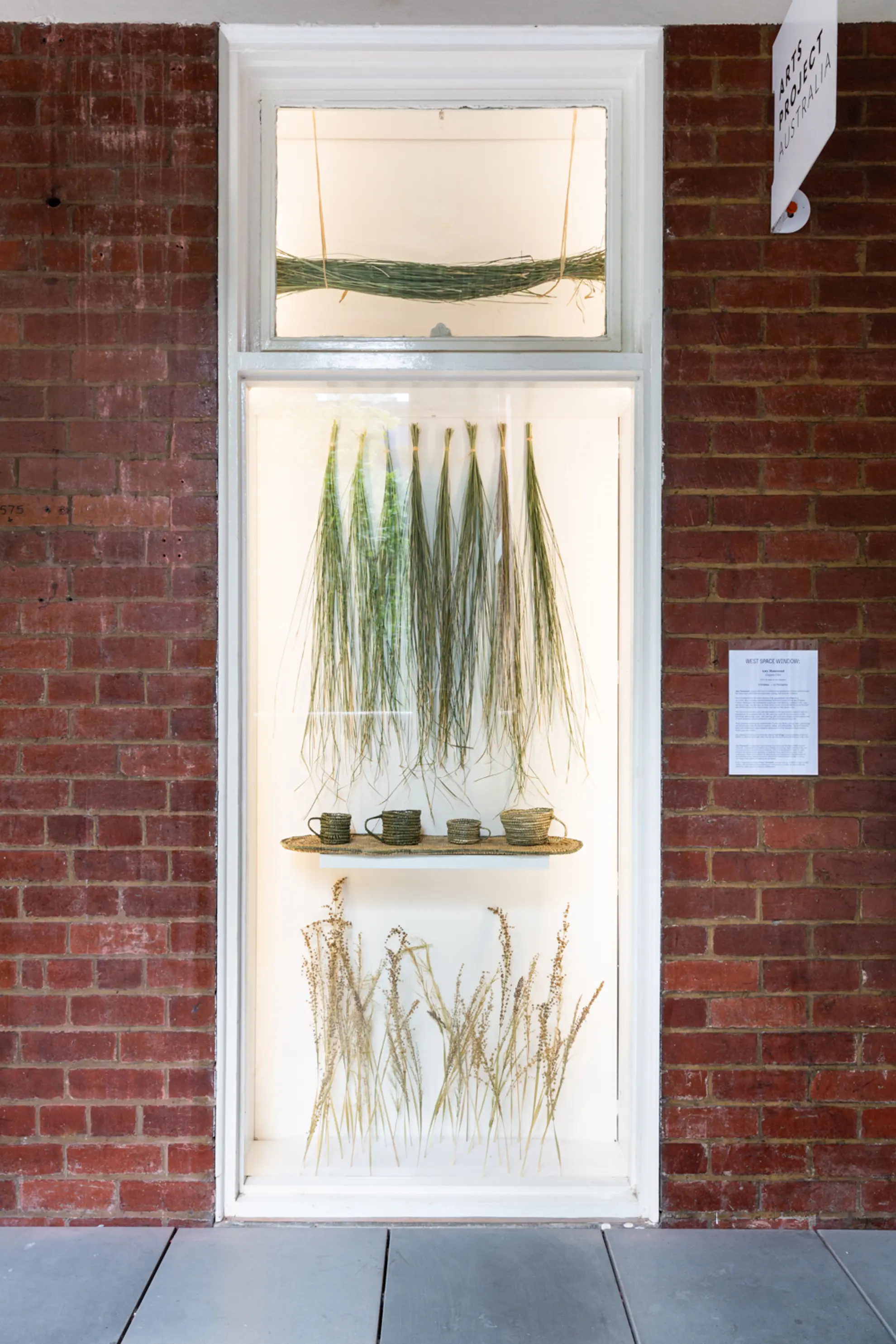 Some densely woven mugs in colours of green, tinted yellow and brown, natural fibres on a rounded, weaved platform. There are 4 mugs. Hung above the elevated mugs is fragments, is the fibre in it's natural state - draping. The hanging fibres are in 9 groups or bunches. Below the densely woven platform of mugs are some upright kind of reads reaching upward.