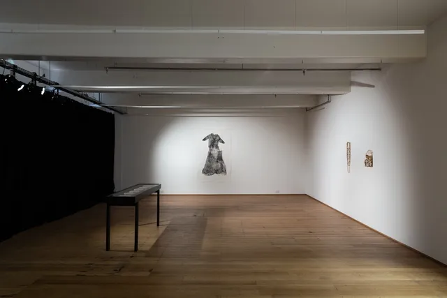 An install shot of Kyra Mancktelow's solo show at West Space. From left to right we see a large black display case, a large paper print of a dress and 2 objects installed on the wall. All the artworks are spot lit in a dark space.