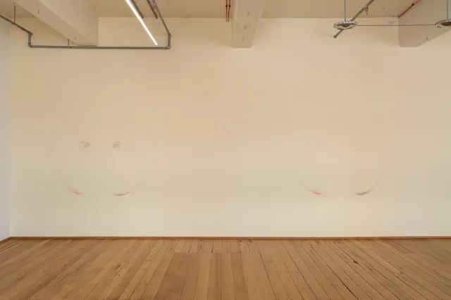 A large white wall is in view with two sweeping, colourful wall drawings. The drawings are light marks of colour such as orange, green, blue and black.