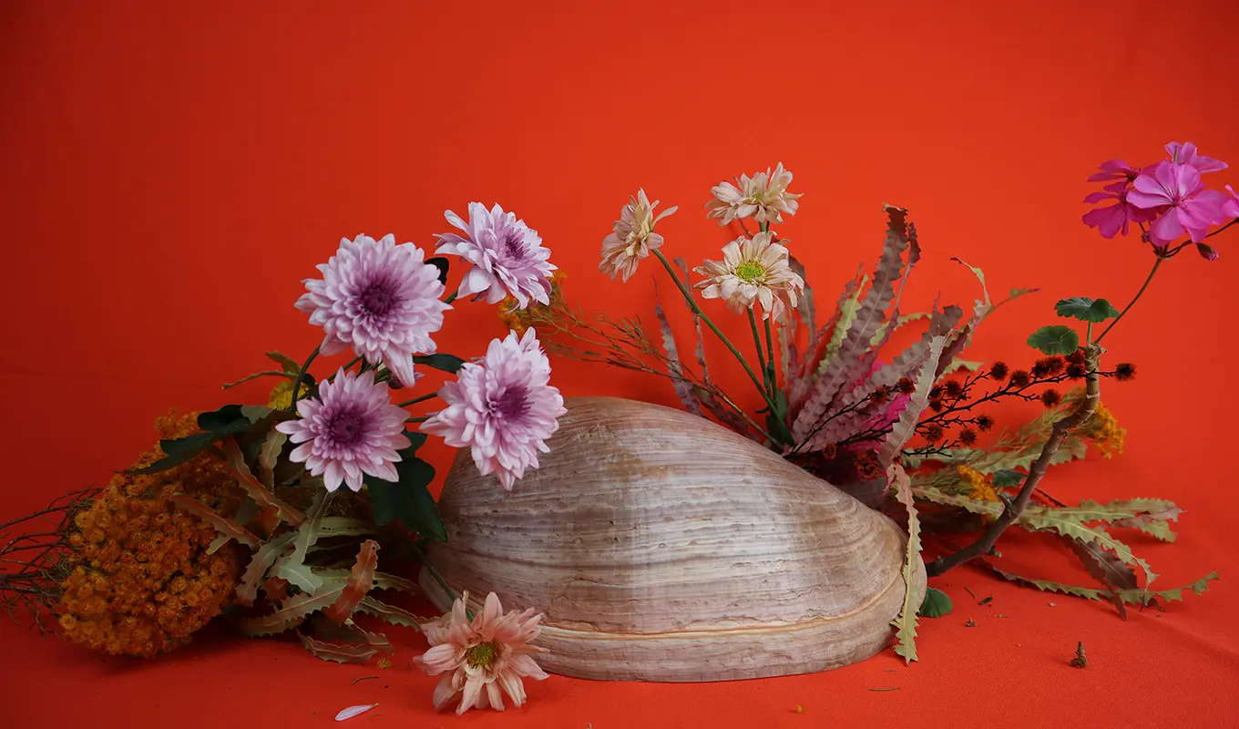 A large brown and cream striped shell sits amongst a collection of various native flowers and leaves in front of a vibrant red background. Some petals and leaves lie on the surface surrounding the shell.