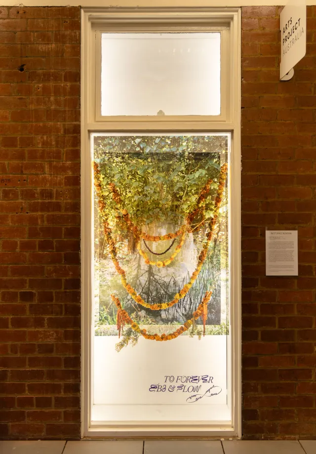 A collection of threaded dried orange and yellow flowers hang in front of a green scene of vegetation in the west space window surrounded by brick walls. There is text in the window that reads "to forever ebb and flow"