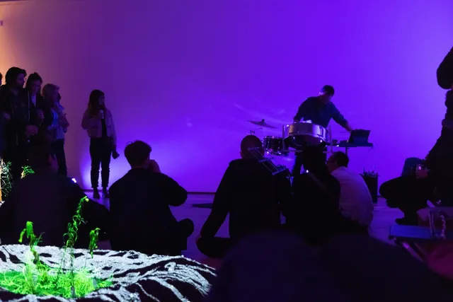A group of people standing in a purple lit up room, facing a musician playing the drums. Green plants in the foreground are illuminated by a spotlight, adding contrast to the dark, intimate setting.