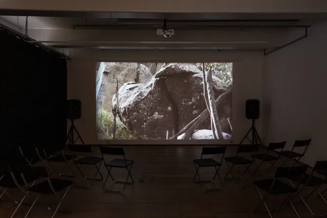 A film is projected on the gallery wall. The film still shows a large grey rock with a crack down the middle. The rock sits on grass and there are two sticks on the right crossing over in the foreground. Black curtains darken the space.