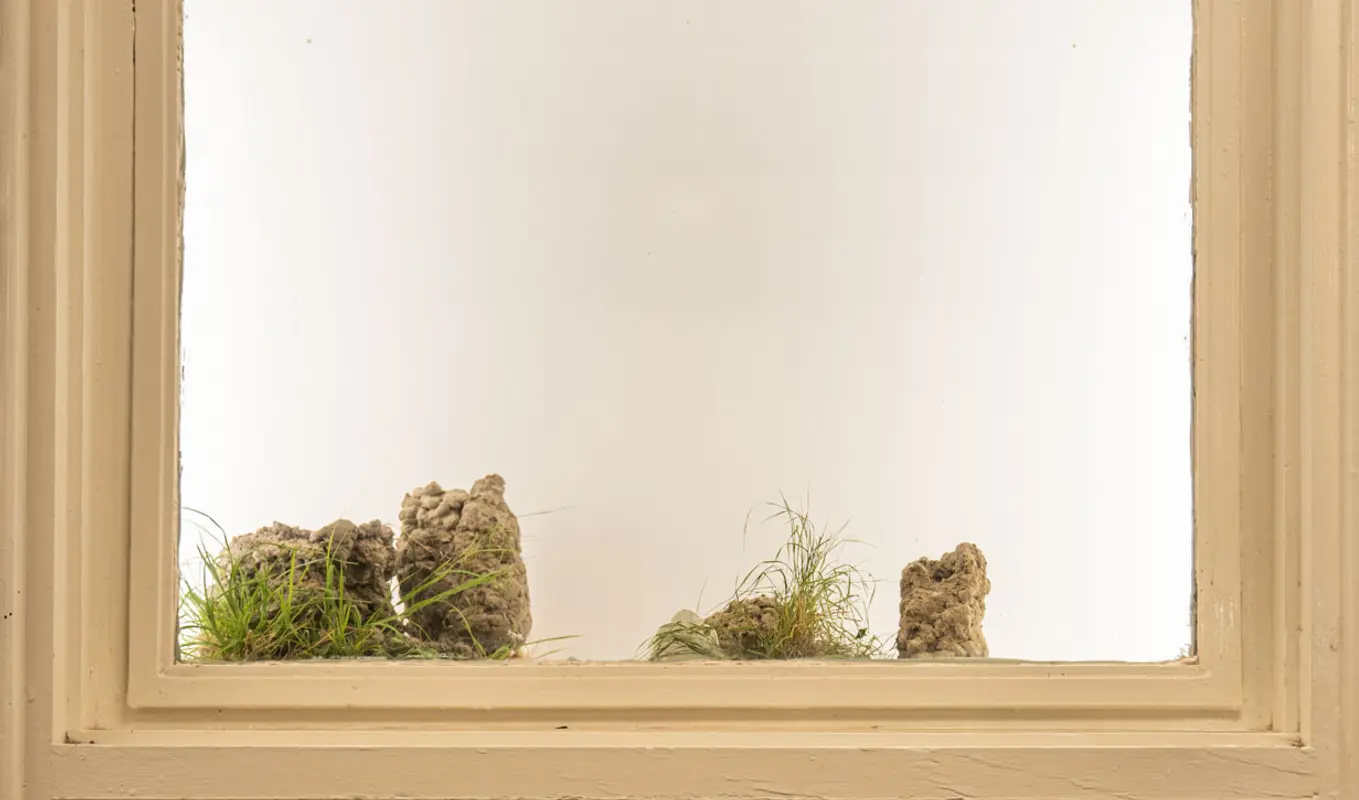 In the context of a narrow window front, the image is taken of the top half of an installed work - the borrow of the image, behind the glass, is 2 large blocks of dirt-like material. The top smaller window segment has a white backdrop with sprouts of grass an