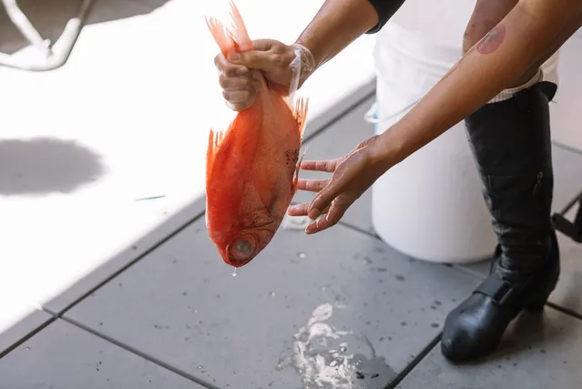 Ari holding an orange fish by the tail.