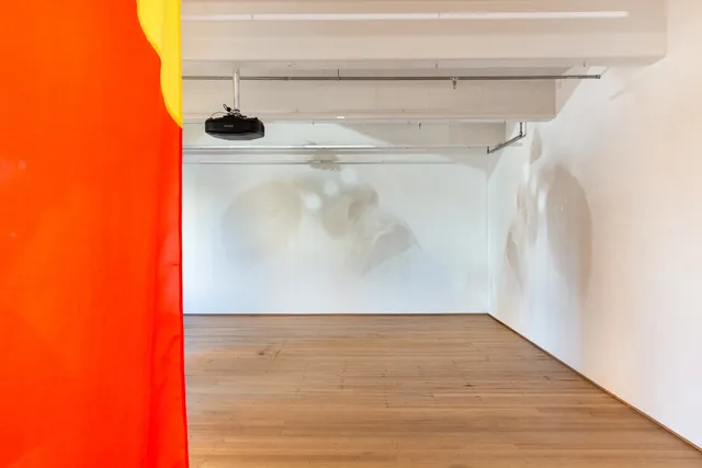 Installation view of "Big Pharmakon". The right side of the image shows a large red semi-transparent sheet. The back and right side walls display a close-up projection of a person with black and white facepaint.