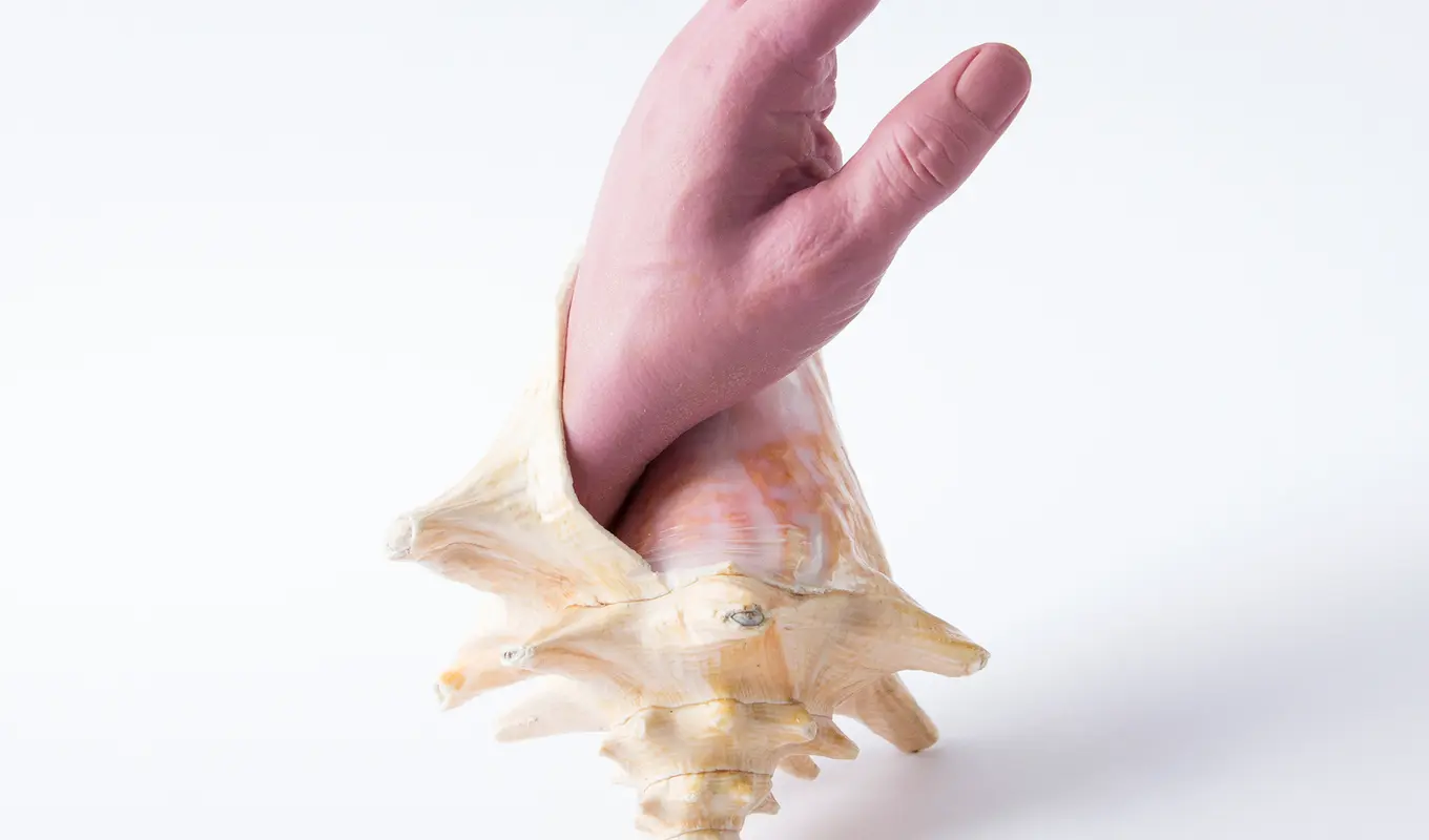 A hand reaching out of a sea shell.