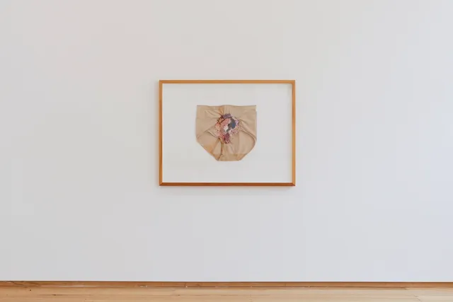 A slightly wrinkled pair of beige, high-waisted underwear, mounted on a white background, sits inside a light wood rectangular frame situated on a white wall. The middle of the underwear is embroidered with pink, blue, purple, white and orange threads, creating a textured mass.