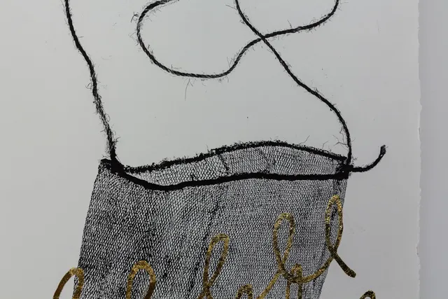 Details of a black and white print of a transparent bag with golden lines on it.