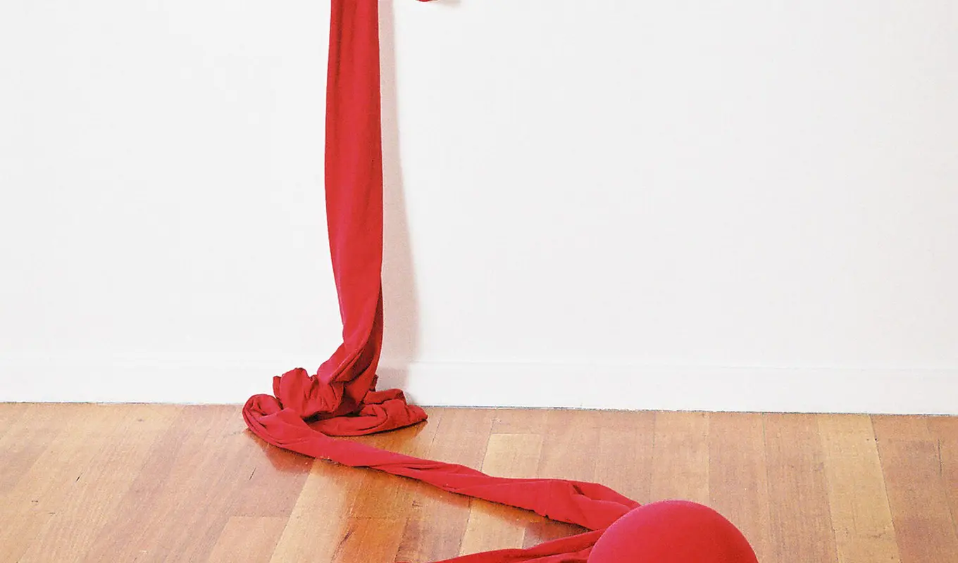 A red installation work.