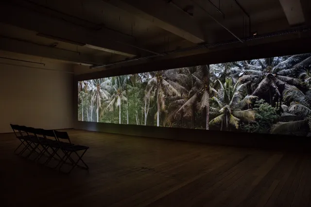 Installation view of a three channel video in the West Space gallery with a row of six chairs facing the work. Each of the three channels shows a richly forested scene of palm trees and other greenery.