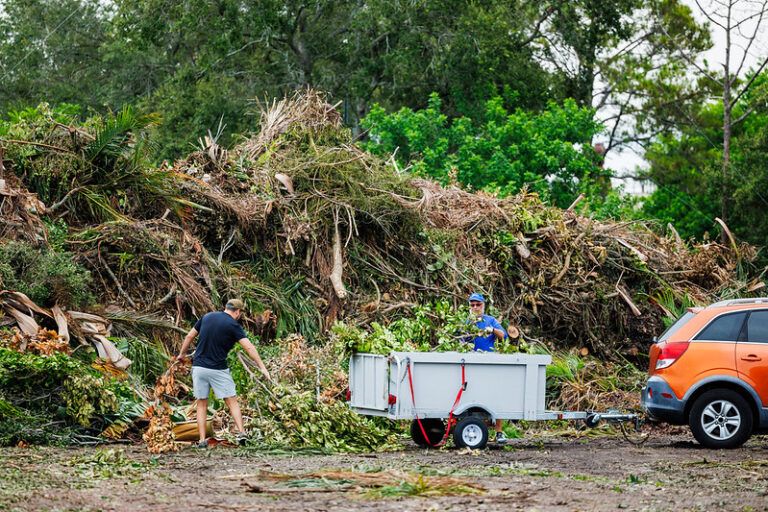 Greenhouse: Planning, Recovery, Clean Up