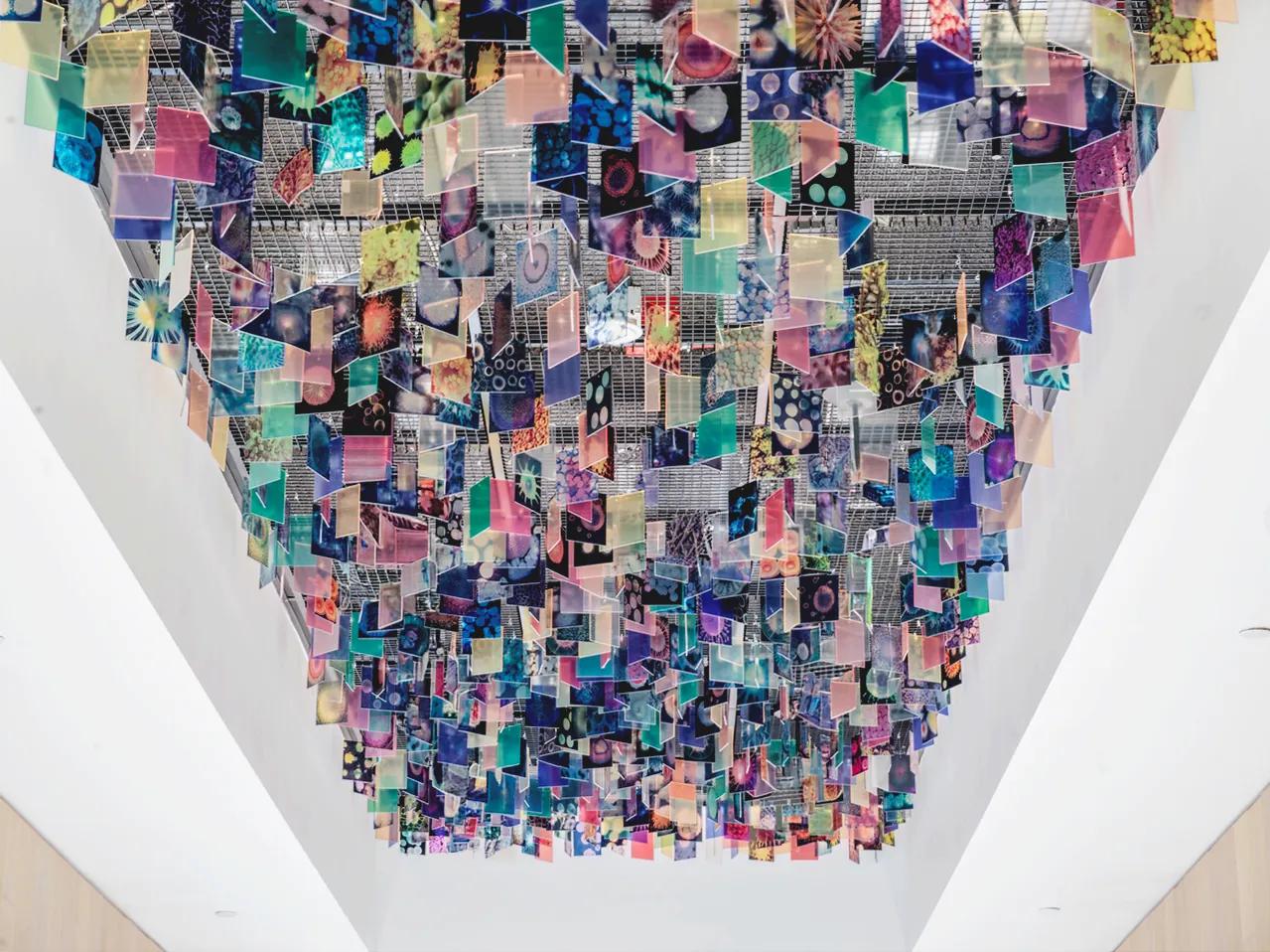 Wall & Surface Graphics