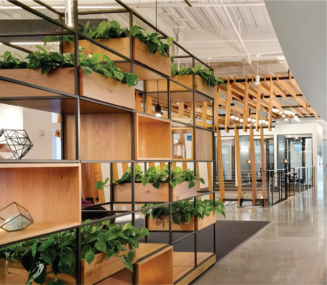 Wall & Surface Graphics