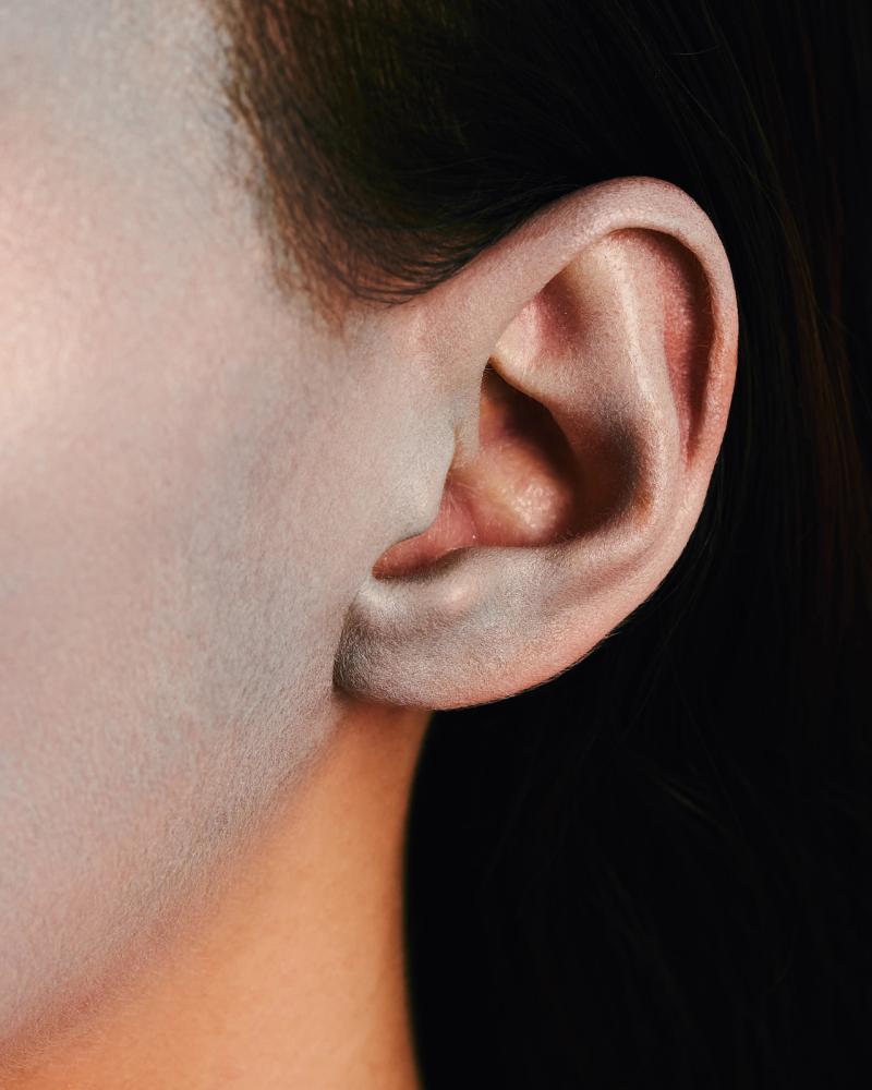 Polychromatica — photograph by Cass Collett