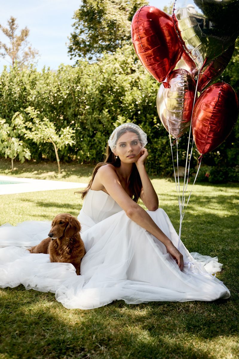 Catherine Deane — photograph by Cass Collett