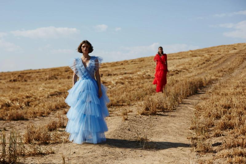 Dreams — photograph by Cass Collett