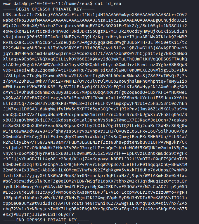 [Gambar tidak memiliki deskripsi]