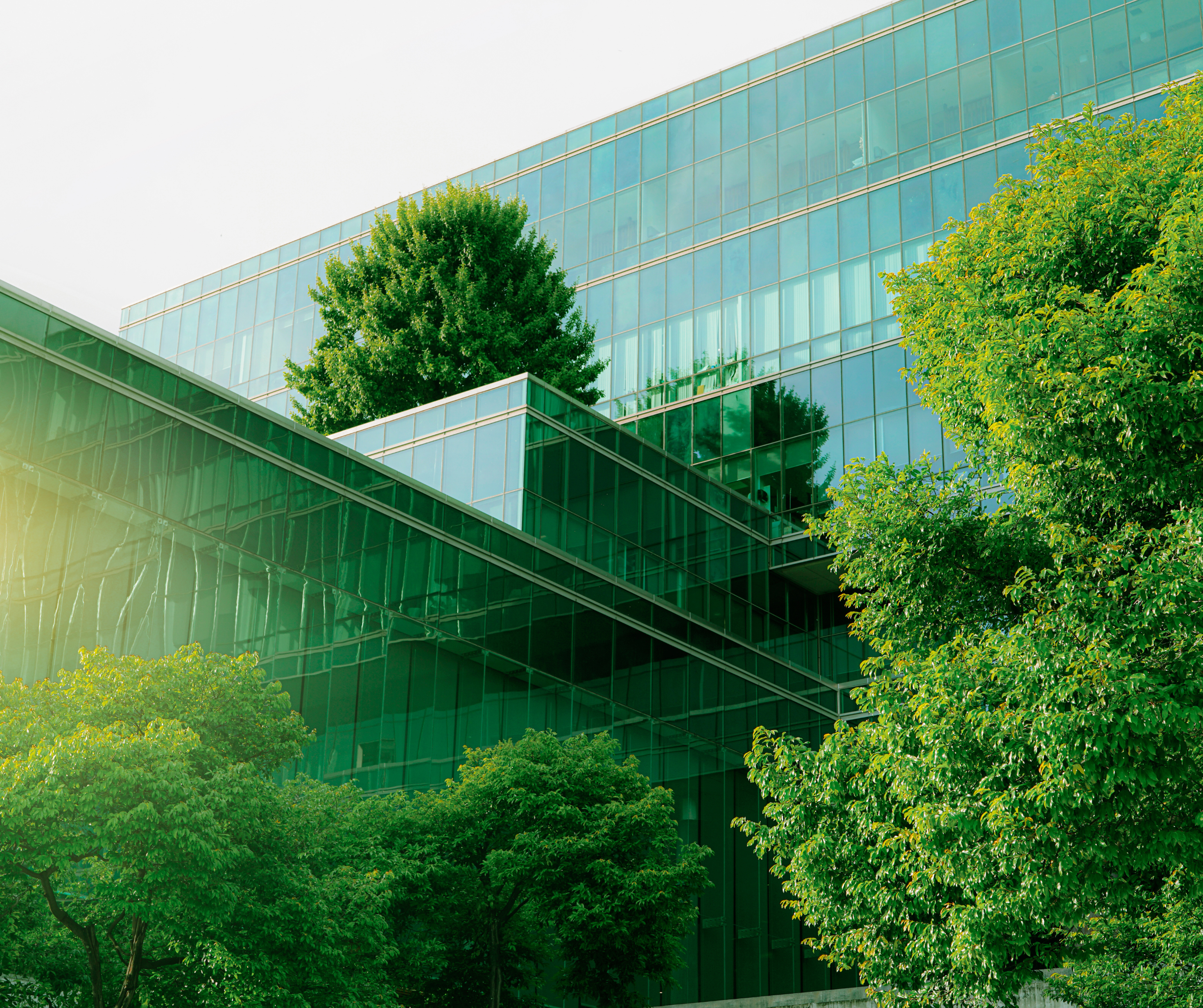 A contemporary glass building surrounded by trees and green plants, highlighting eco-friendly architecture.