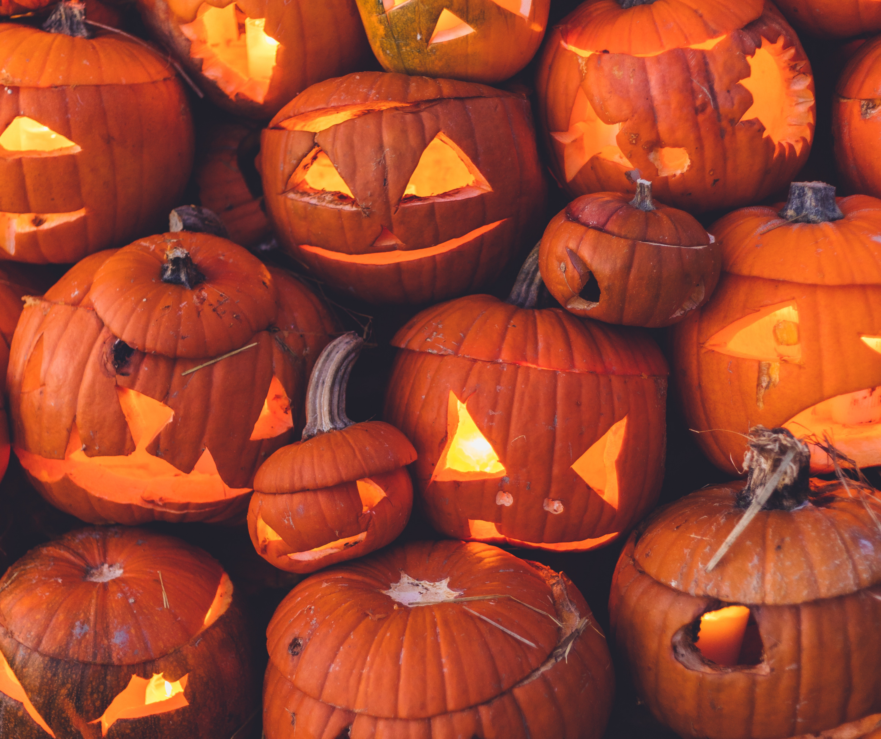 A collection of carved pumpkins with various facial expressions, illuminated from inside.