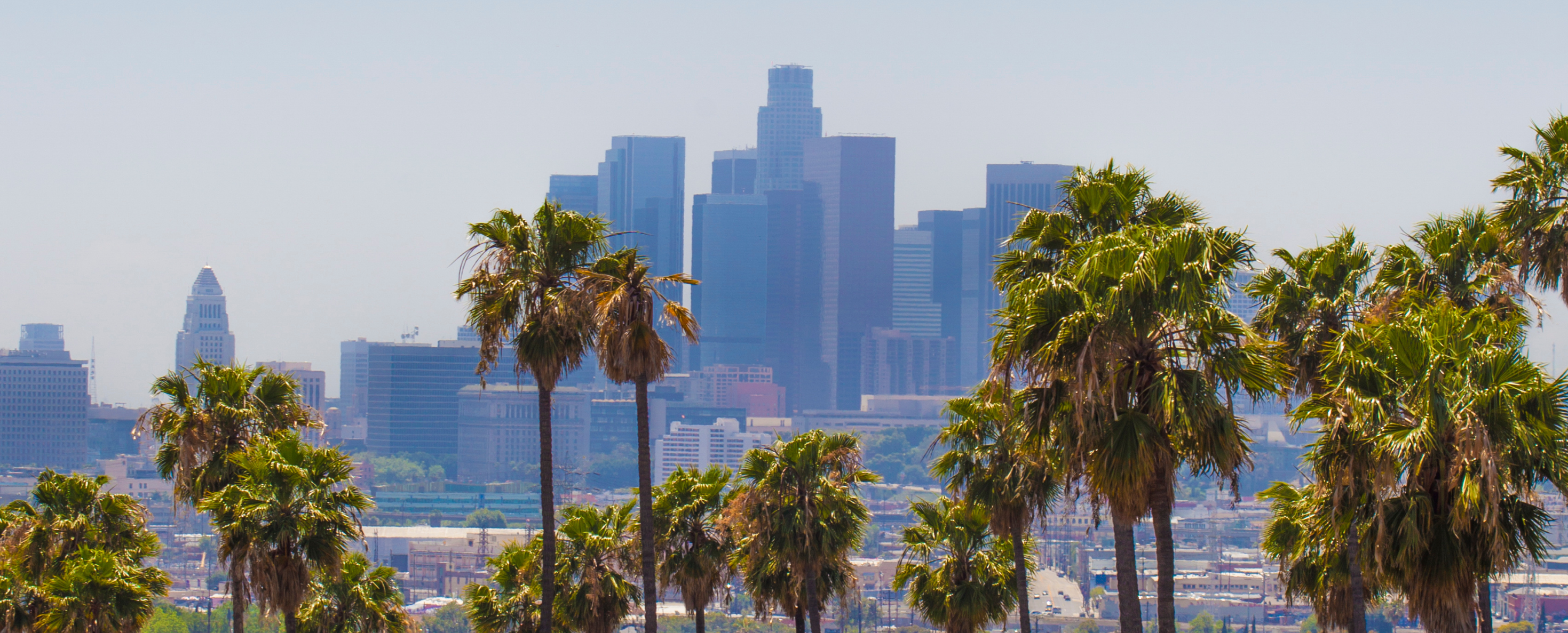 Wellness-Focused Retail Experiences in Los Angeles ๐