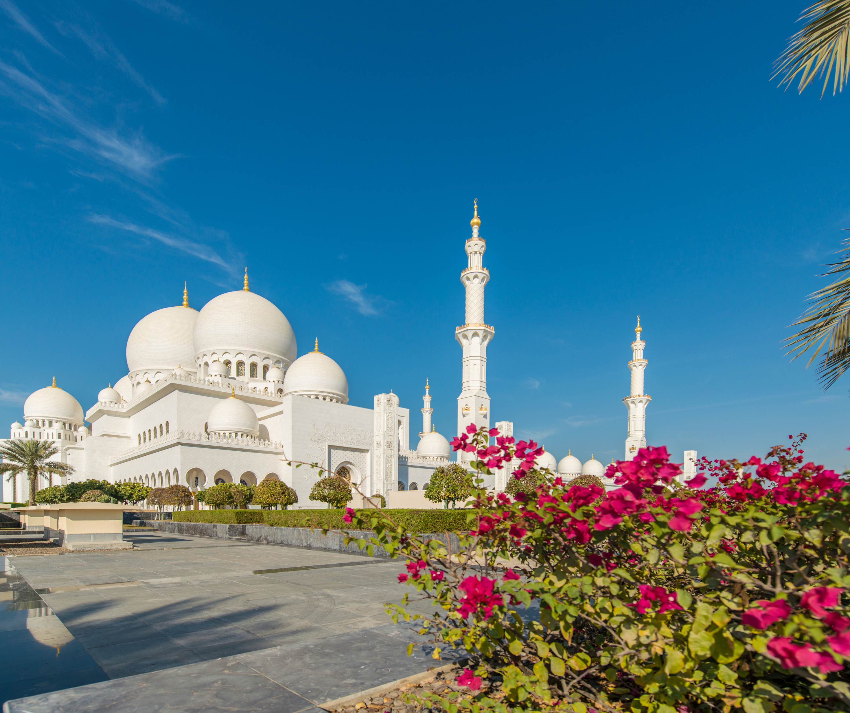 The Sheikh Zayed Grand Mosque in Abu Dhabi, showcasing its stunning white domes and minarets against a clear blue sky, with intricate details and beautiful gardens.