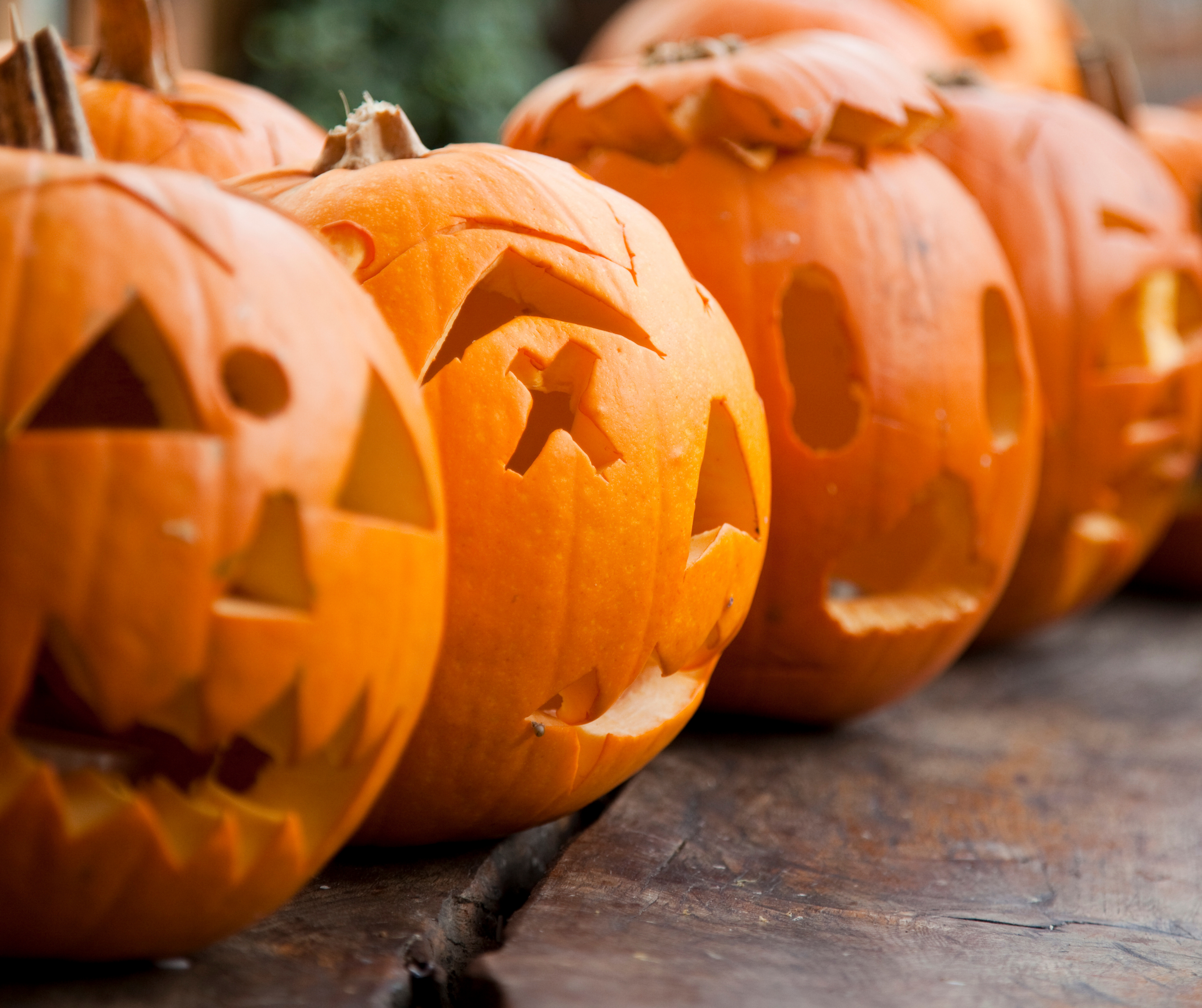 A row of carved pumpkins with different facial expressions placed on a wooden surface