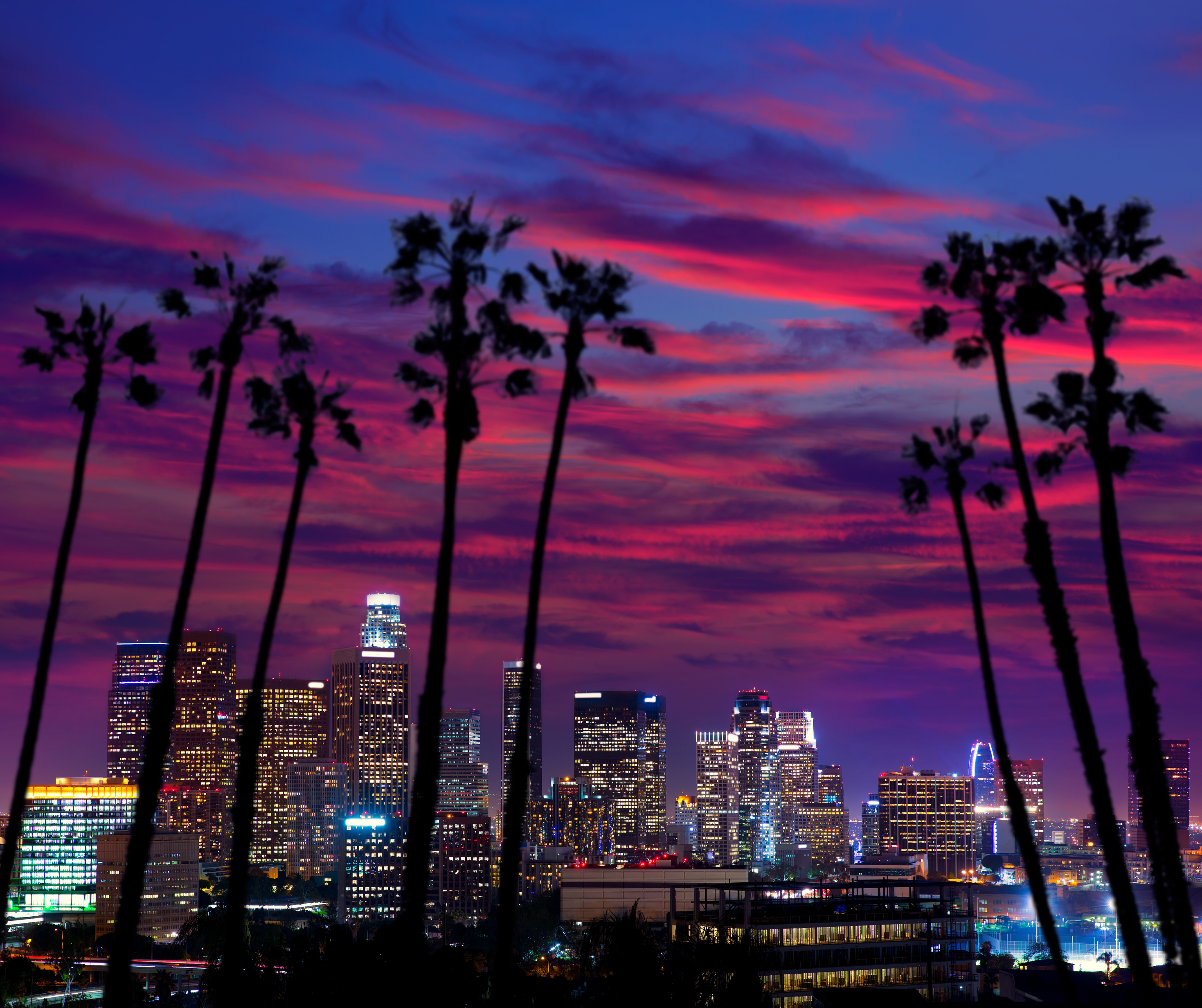 Silhouette of palm trees against a vibrant sunset sky with the city skyline illuminated in the background.