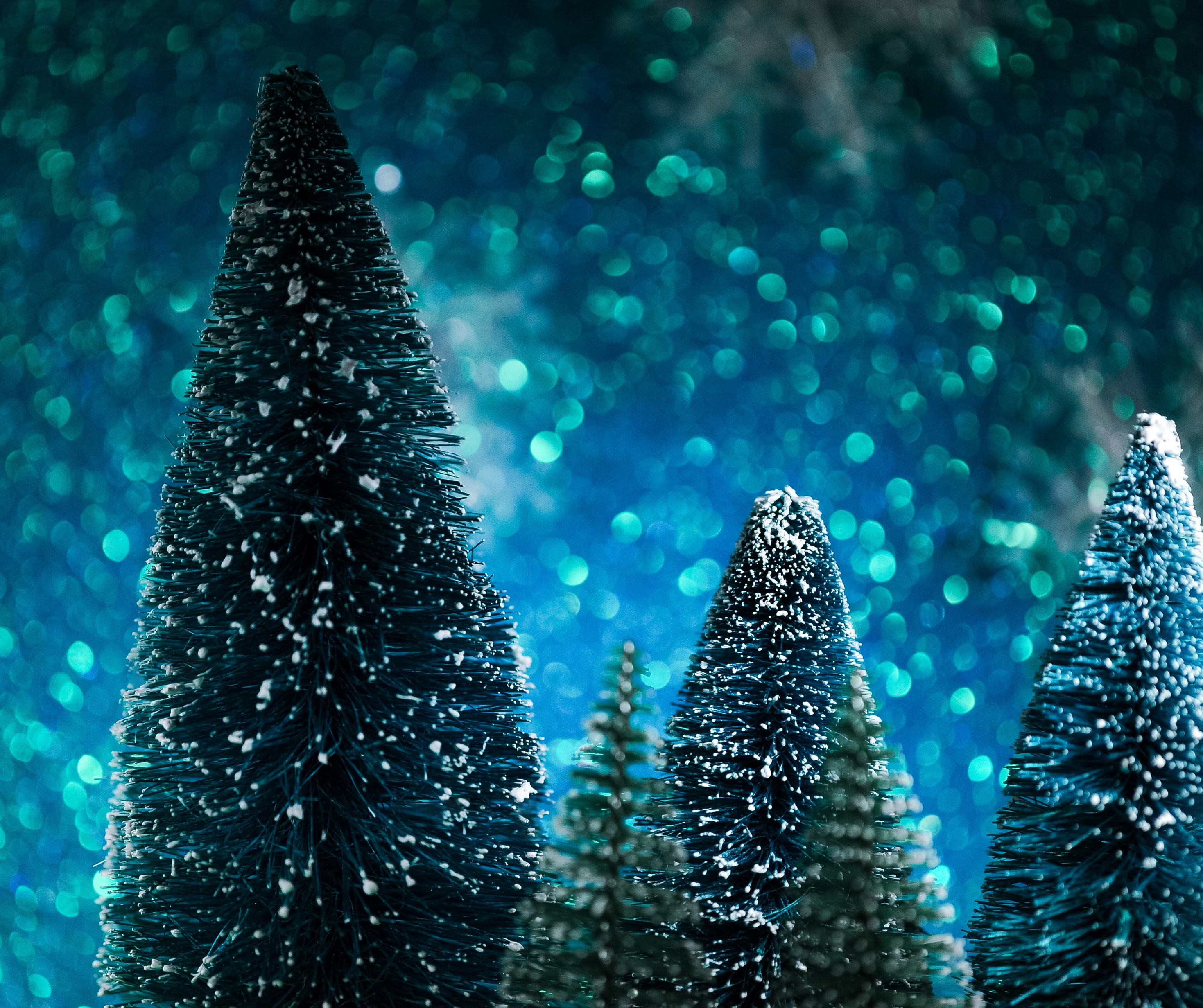 A group of Christmas trees decorated with festive ornaments, capturing the holiday spirit.