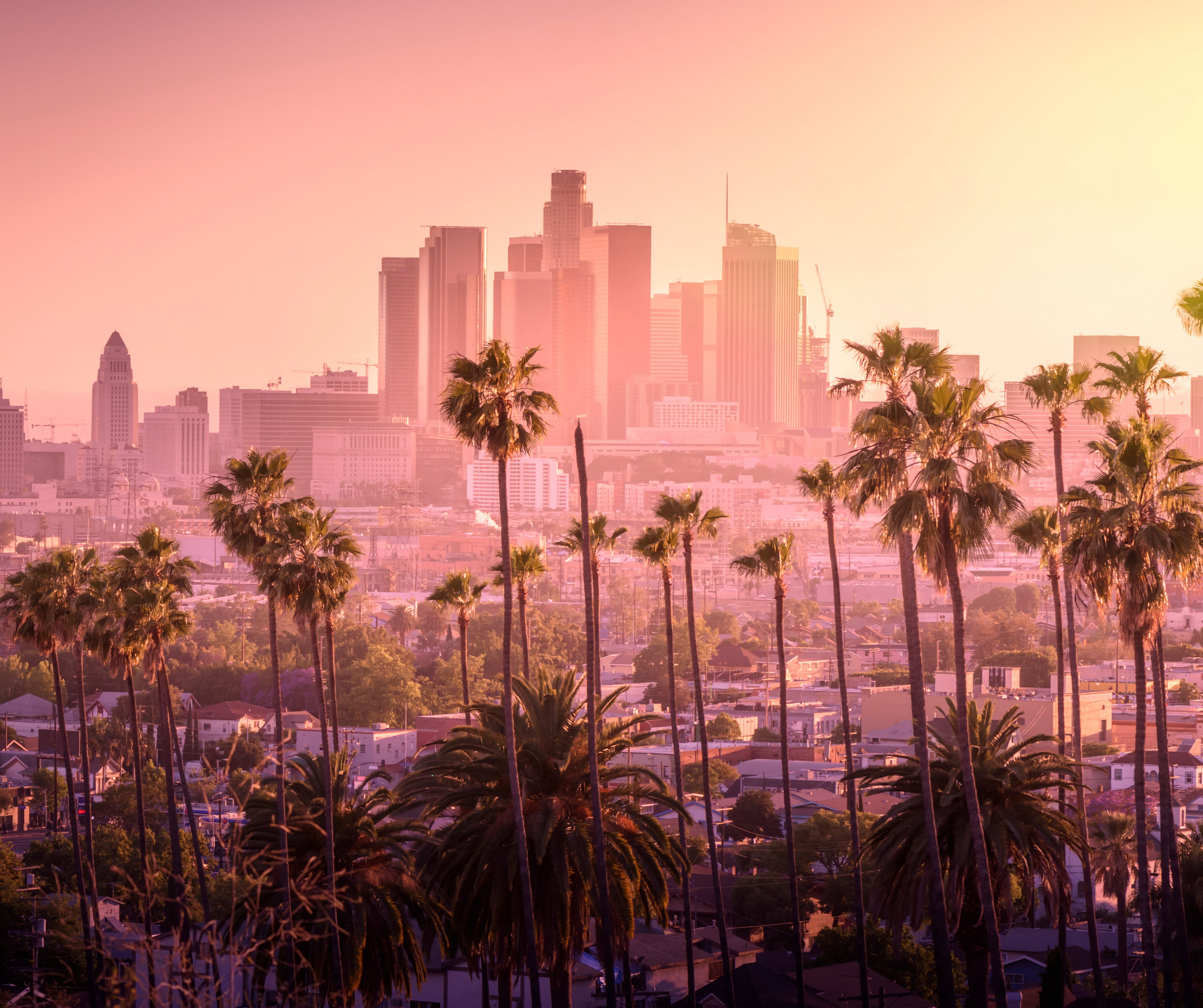 The Los Angeles city skyline at sunset, featuring tall palm trees in the foreground with a warm, pinkish hue.