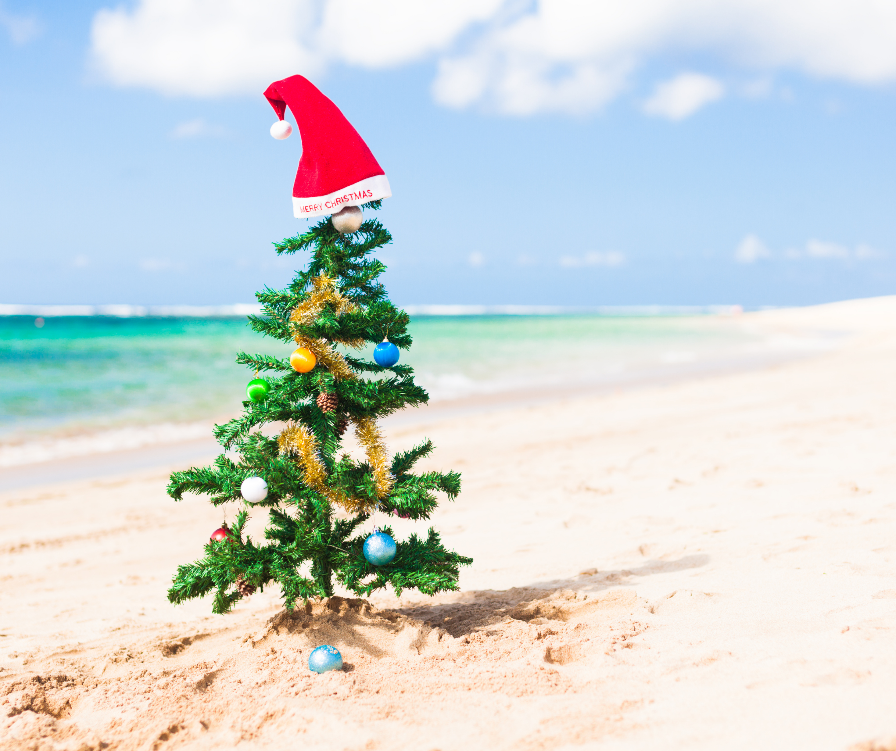 Christmas tree with ornaments and a Santa hat on a sandy beach with the ocean in the background.