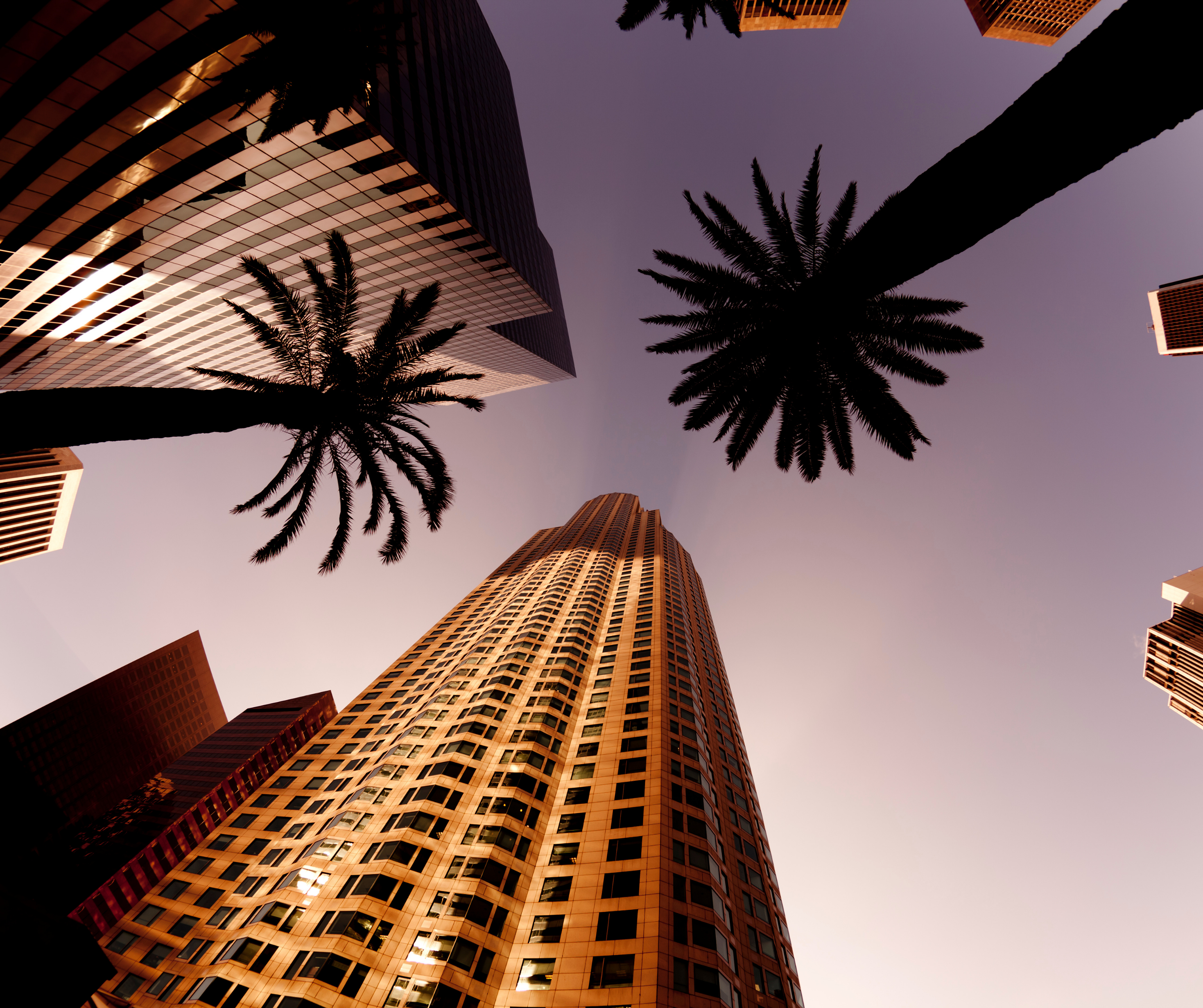 Looking up at tall skyscrapers with mirrored windows reflecting the sunset, framed by the dark silhouettes of palm trees.