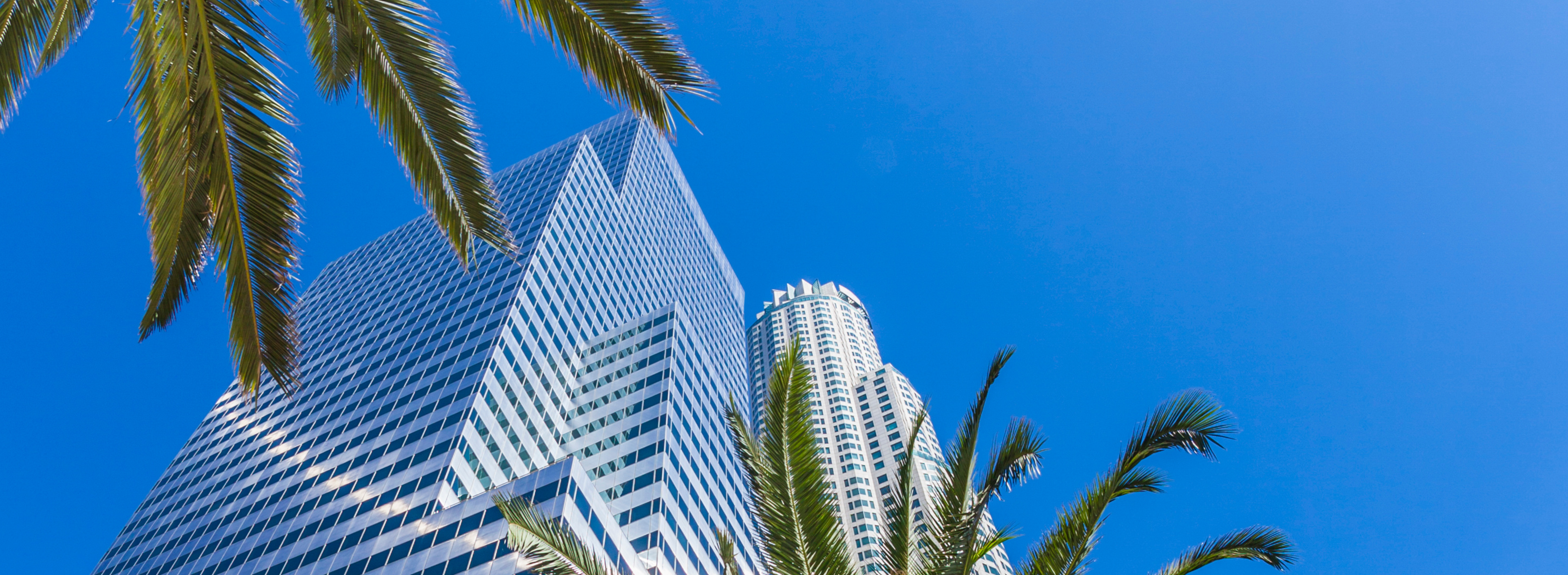 Holiday Season Pop-Up Ideas for Festive Celebrations in Los Angeles ๐โจ