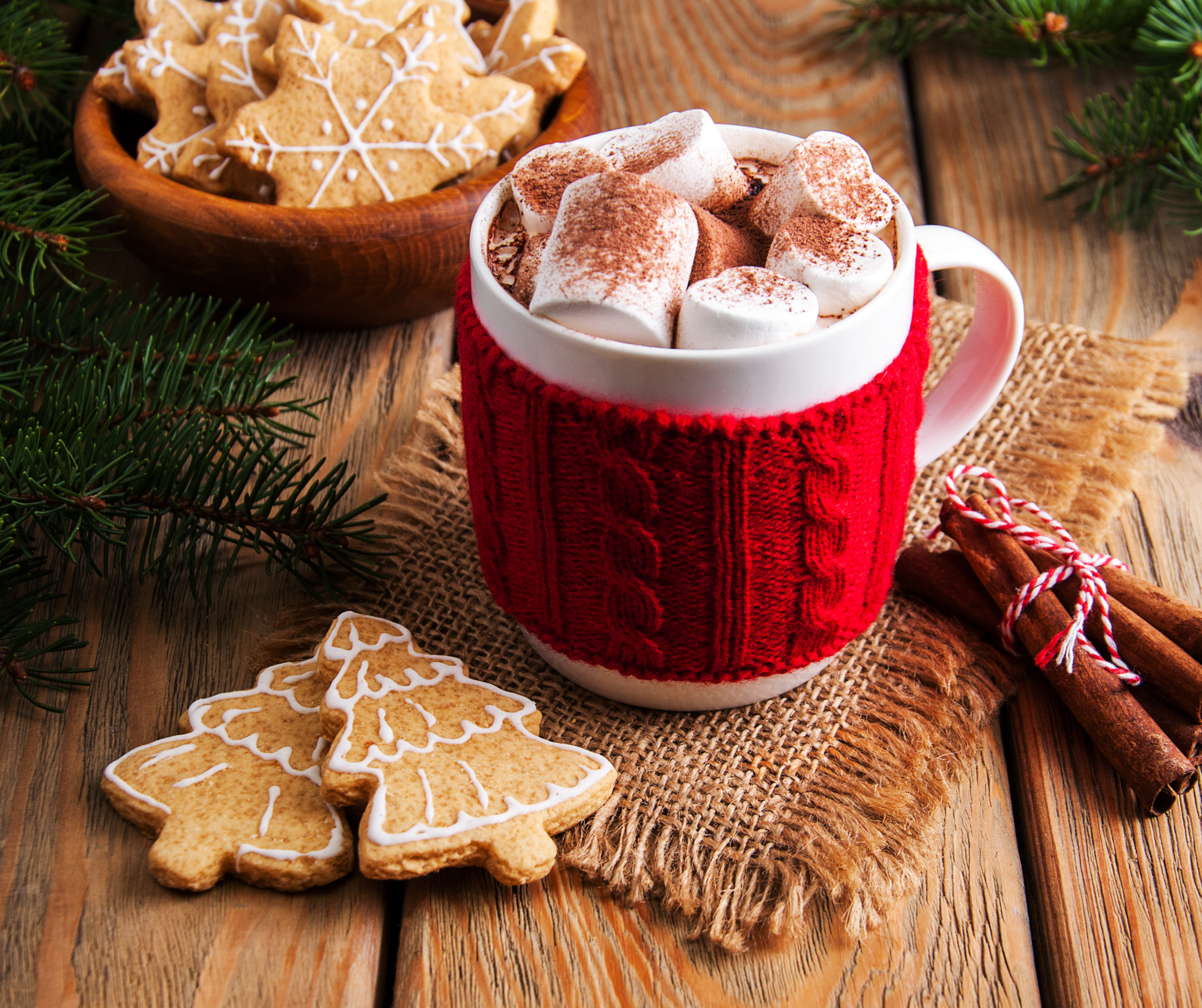 A festive setup featuring a mug of hot cocoa topped with marshmallows and dusted with cocoa powder, placed on a rustic wooden table along with decorated gingerbread cookies.