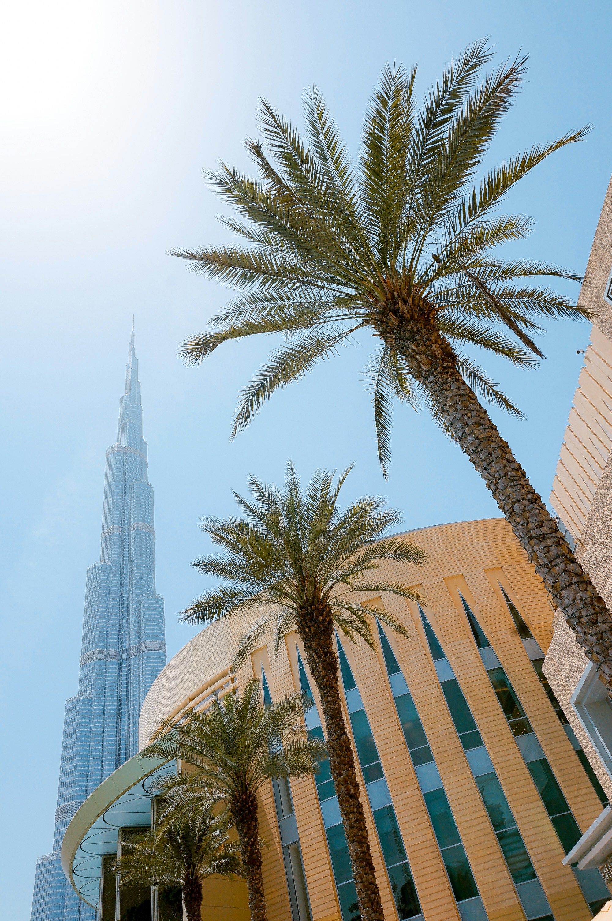 Palm trees in foreground with the Burj Khalifa skyscraper visible in the background against a blue sky