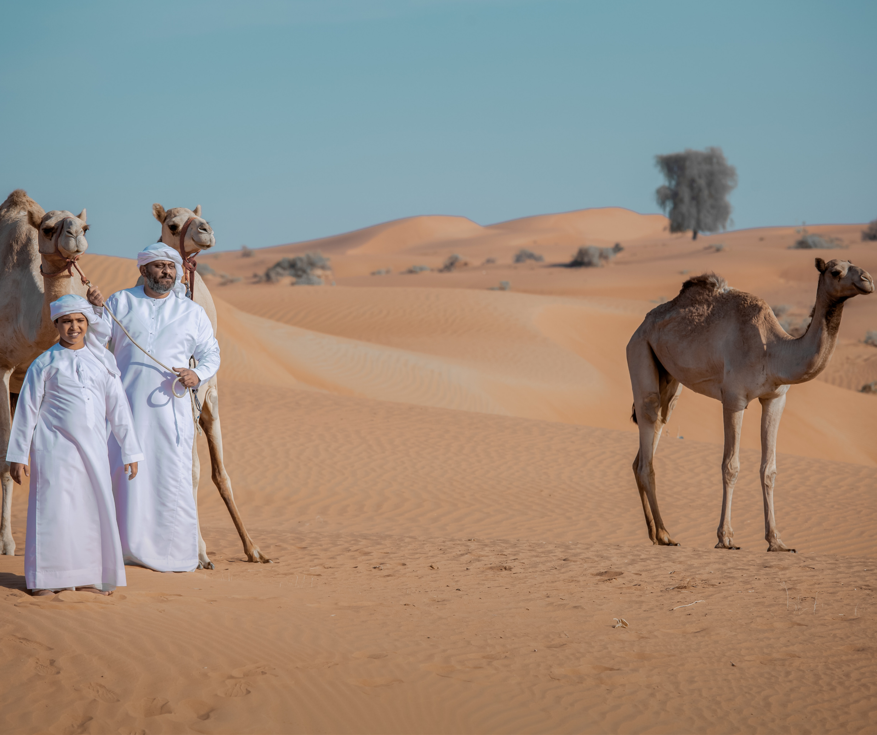 Two men wearing white traditional clothing standing in the desert with two camels, illustrating traditional desert culture and lifestyle.