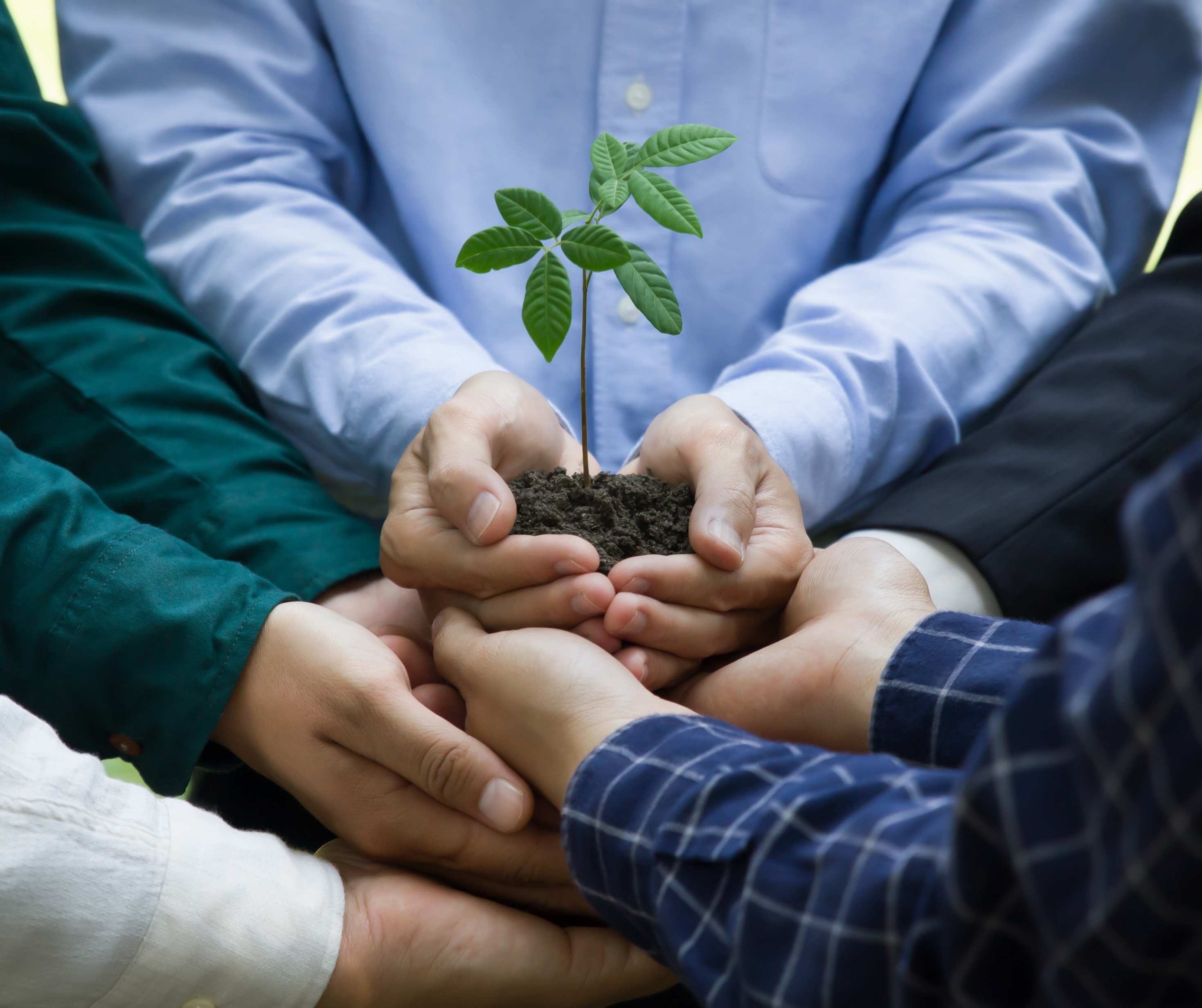 A group of hands holding soil with a young plant, representing sustainability and environmental care.