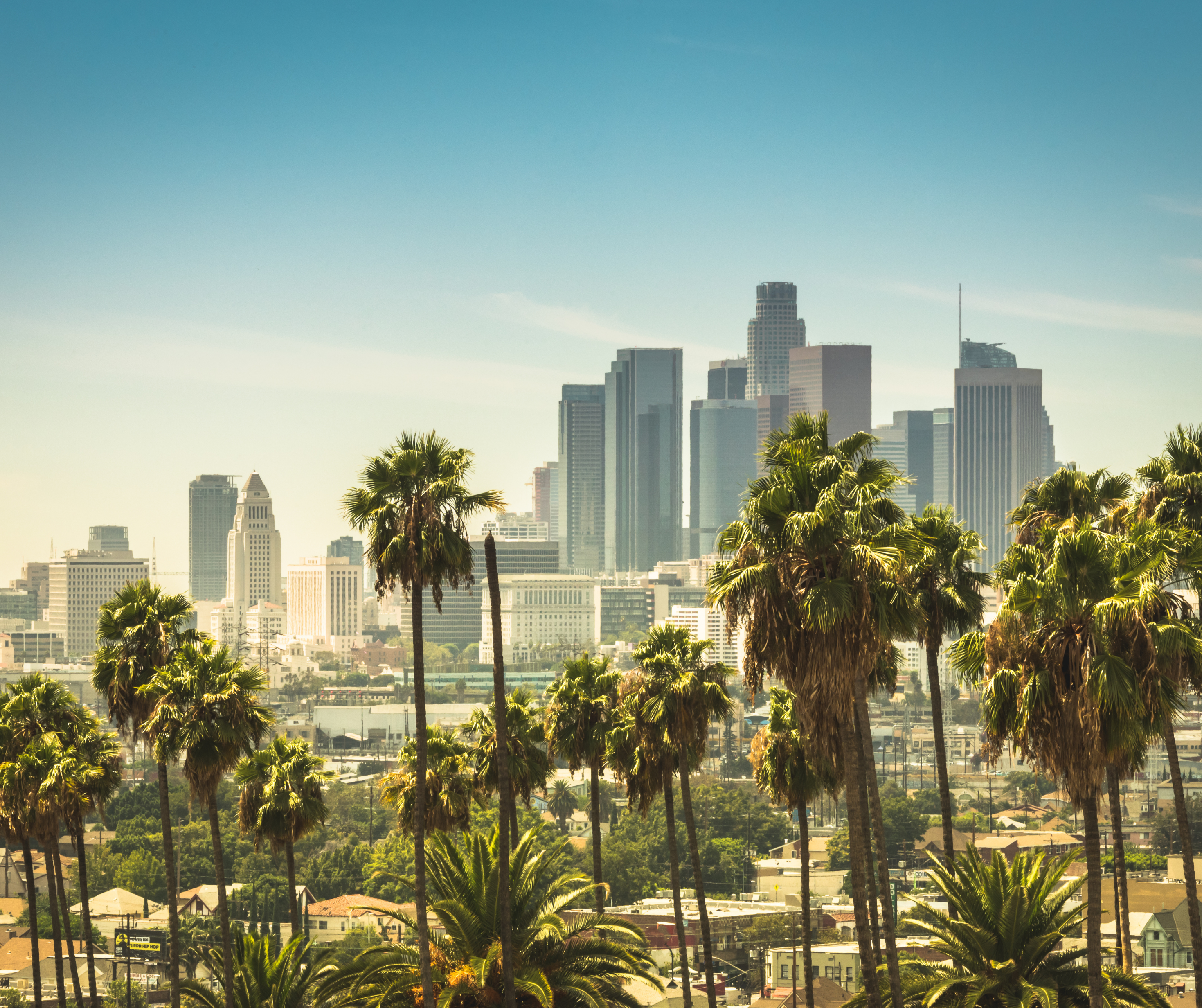 A sunny day view of Los Angeles city skyline with tall palm trees in the foreground.