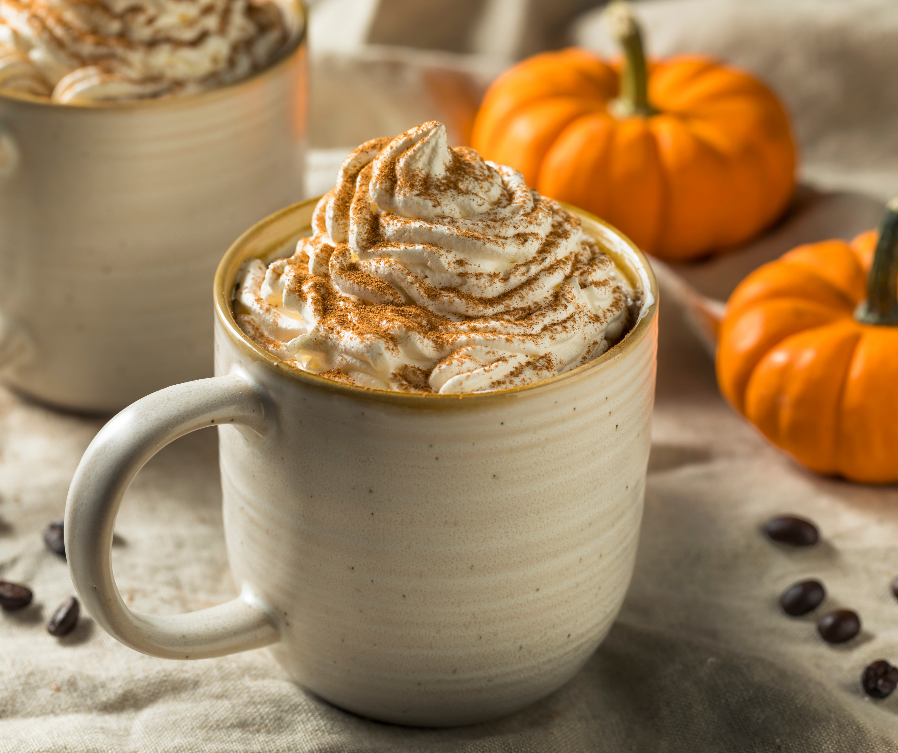 A close-up of a pumpkin spice latte in a beige mug, topped with whipped cream and cinnamon, with small pumpkins in the background.