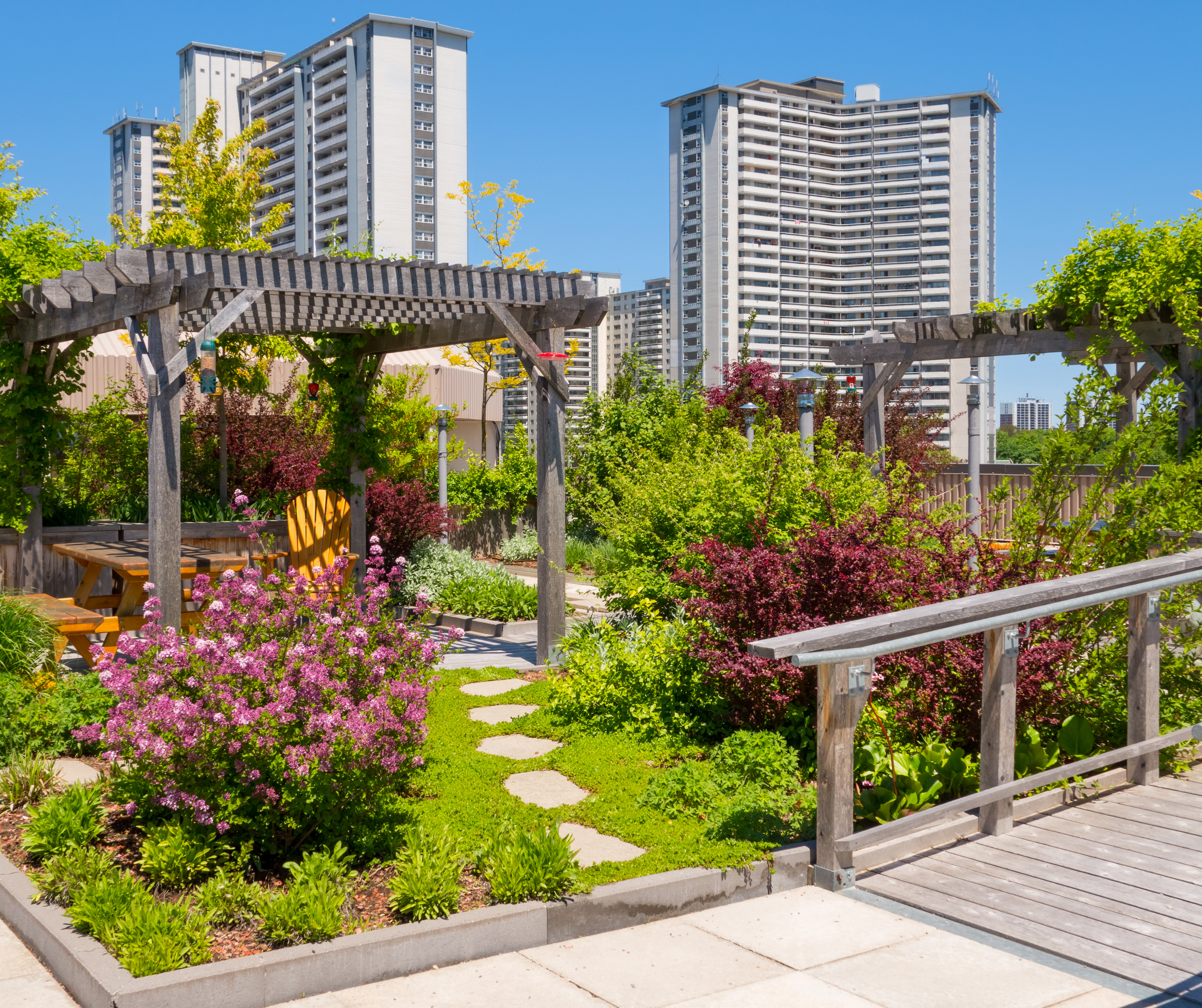 Rooftop garden featuring wooden structures, flowering plants, and a city skyline in the background in Los Angeles.