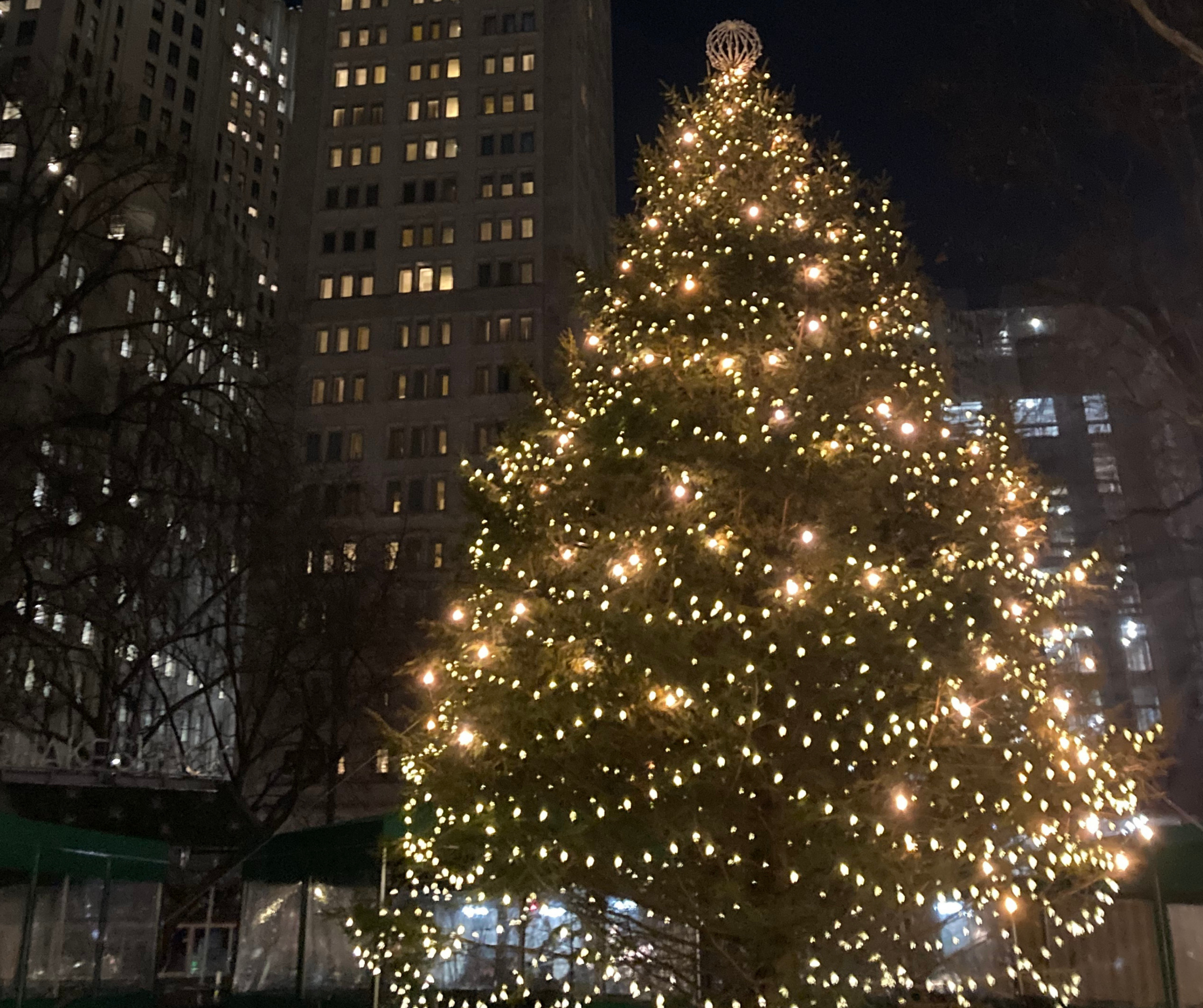 large Christmas tree adorned with lights, standing in a city square surrounded by tall buildings at night in New York City.