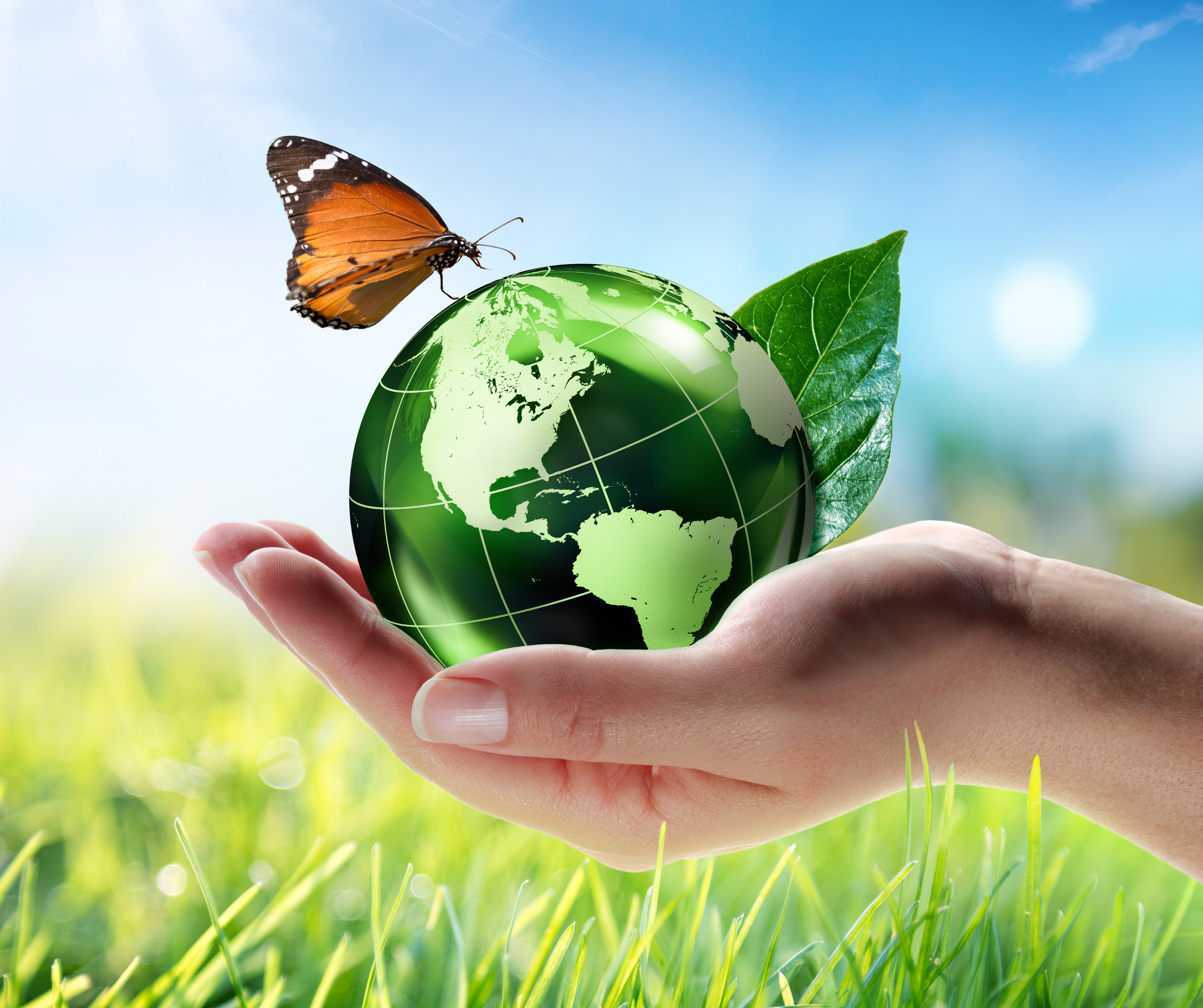 An illustration of a hand gently holding the Earth, symbolizing care for the environment and eco-friendly practices.