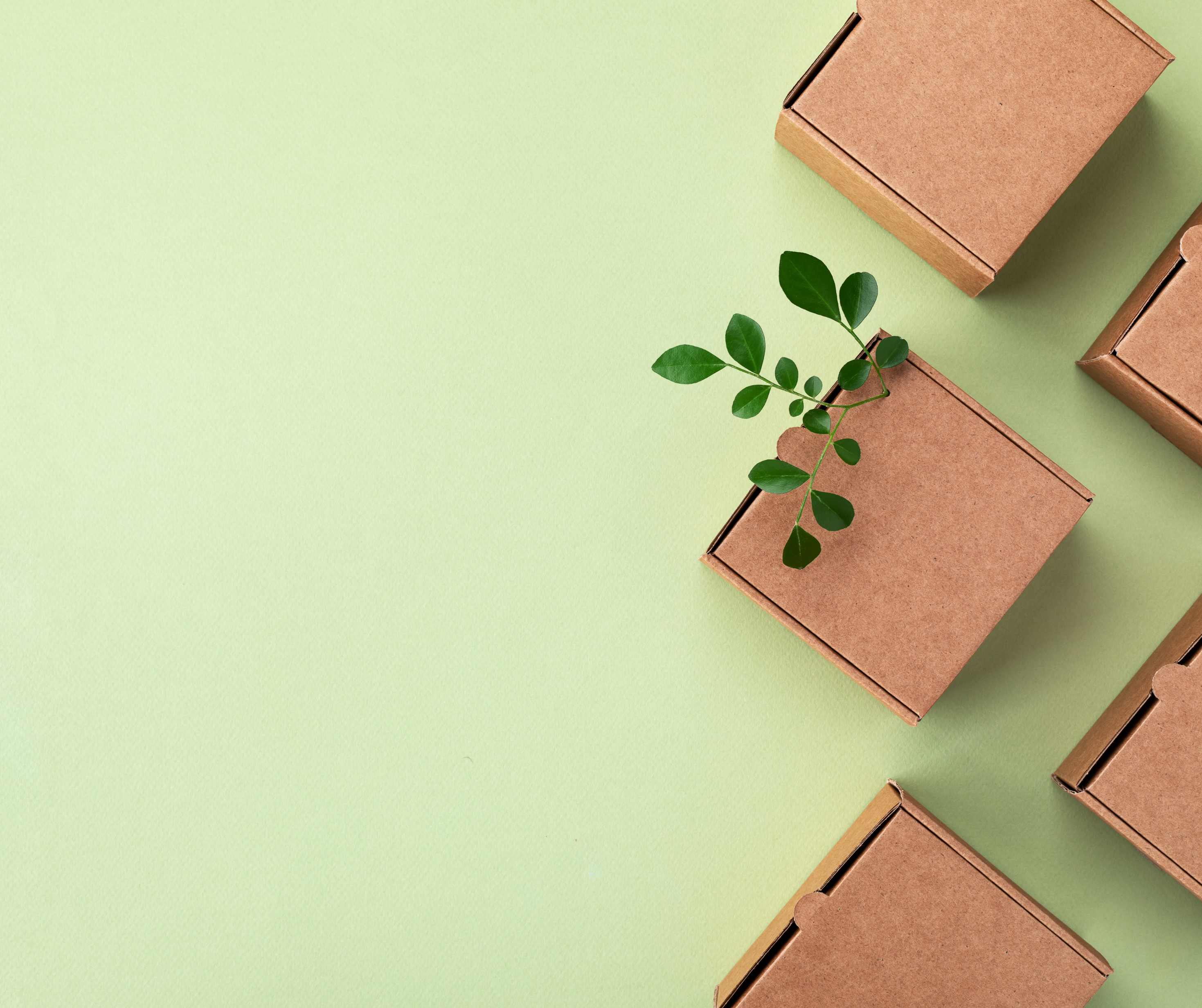 Small cardboard boxes arranged on a green surface with a plant sprouting from one of them.