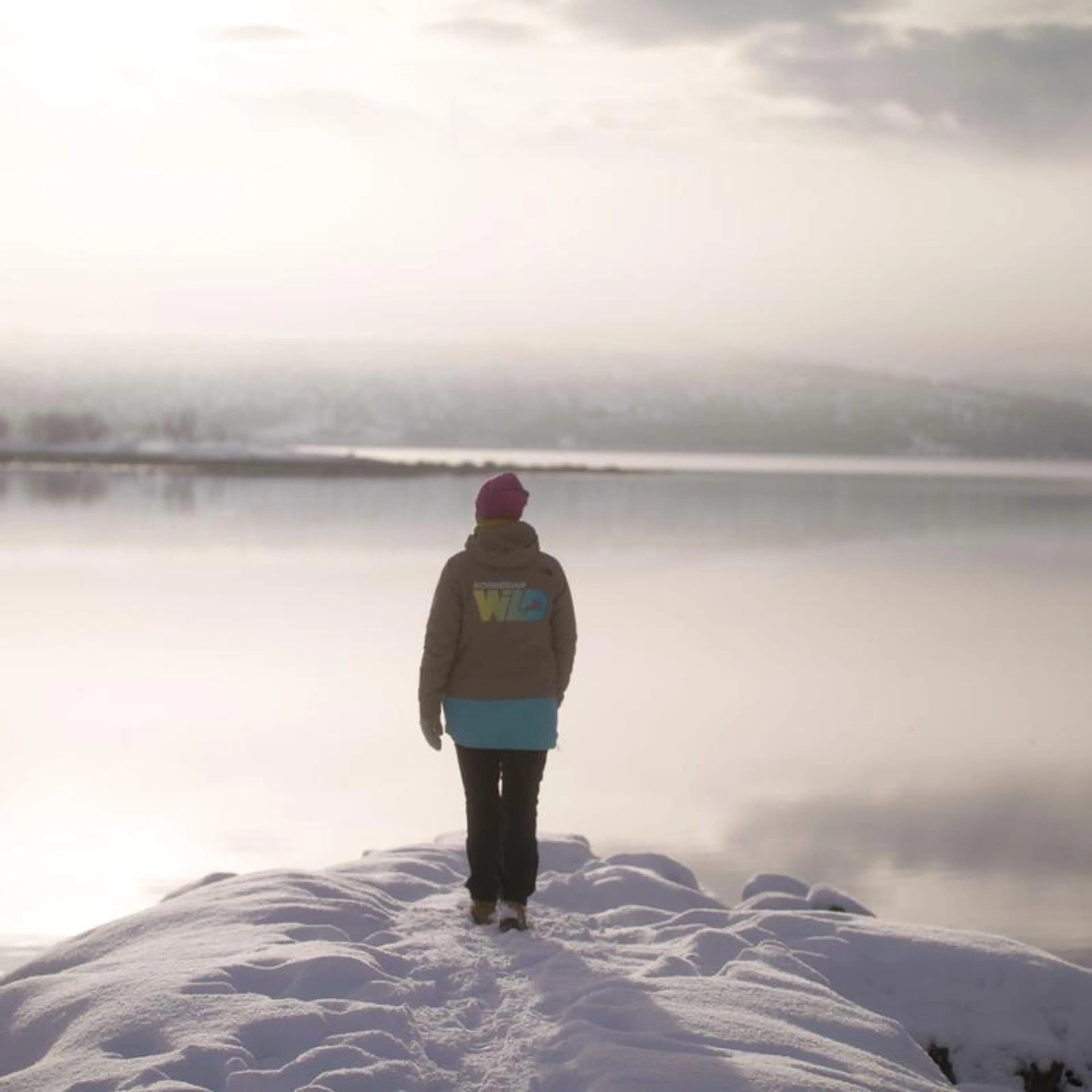 Gründer av Norwegian Wild, Hege Enge Dekkerhus, ser ut i havgapet på Senja