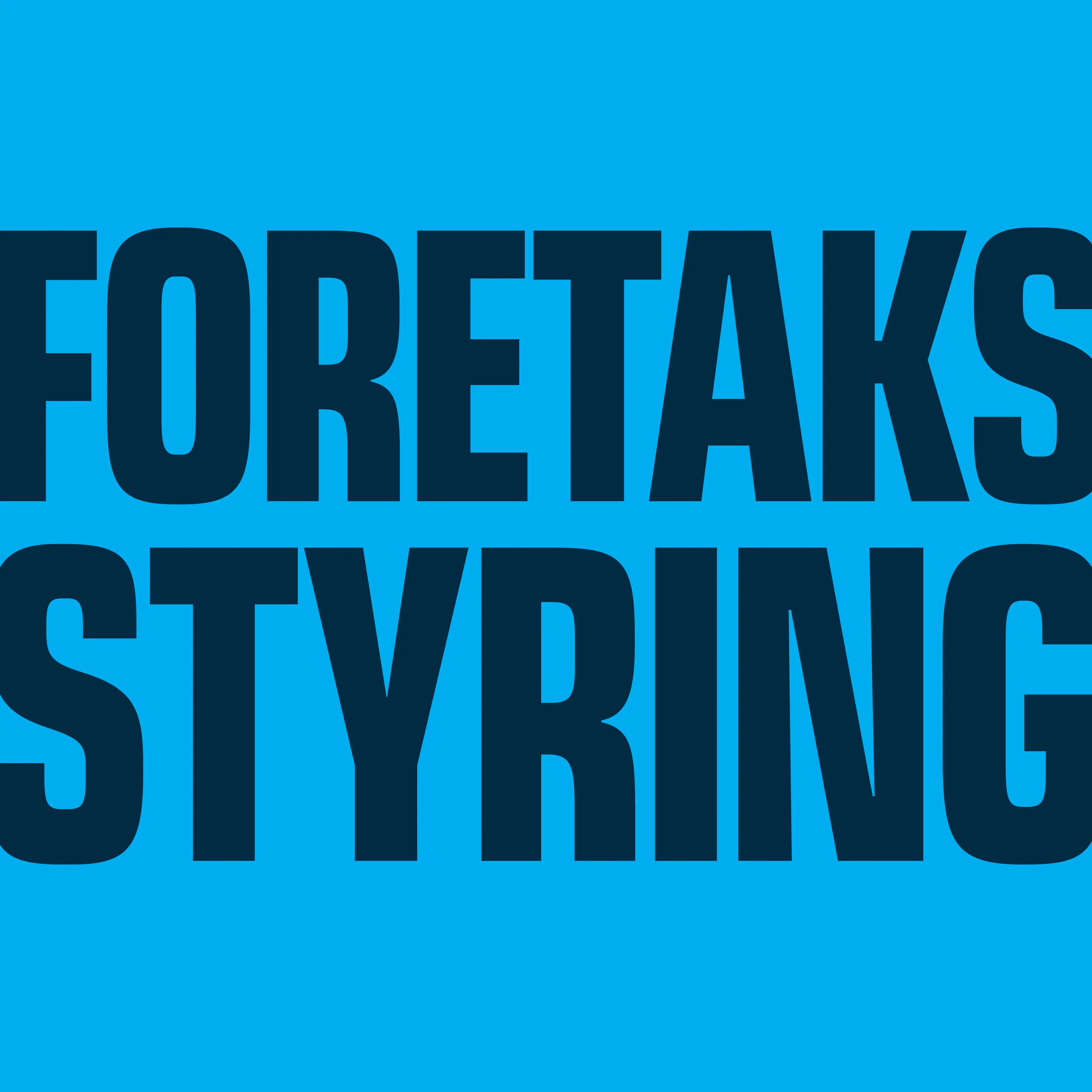 Tekst foretaksstyring